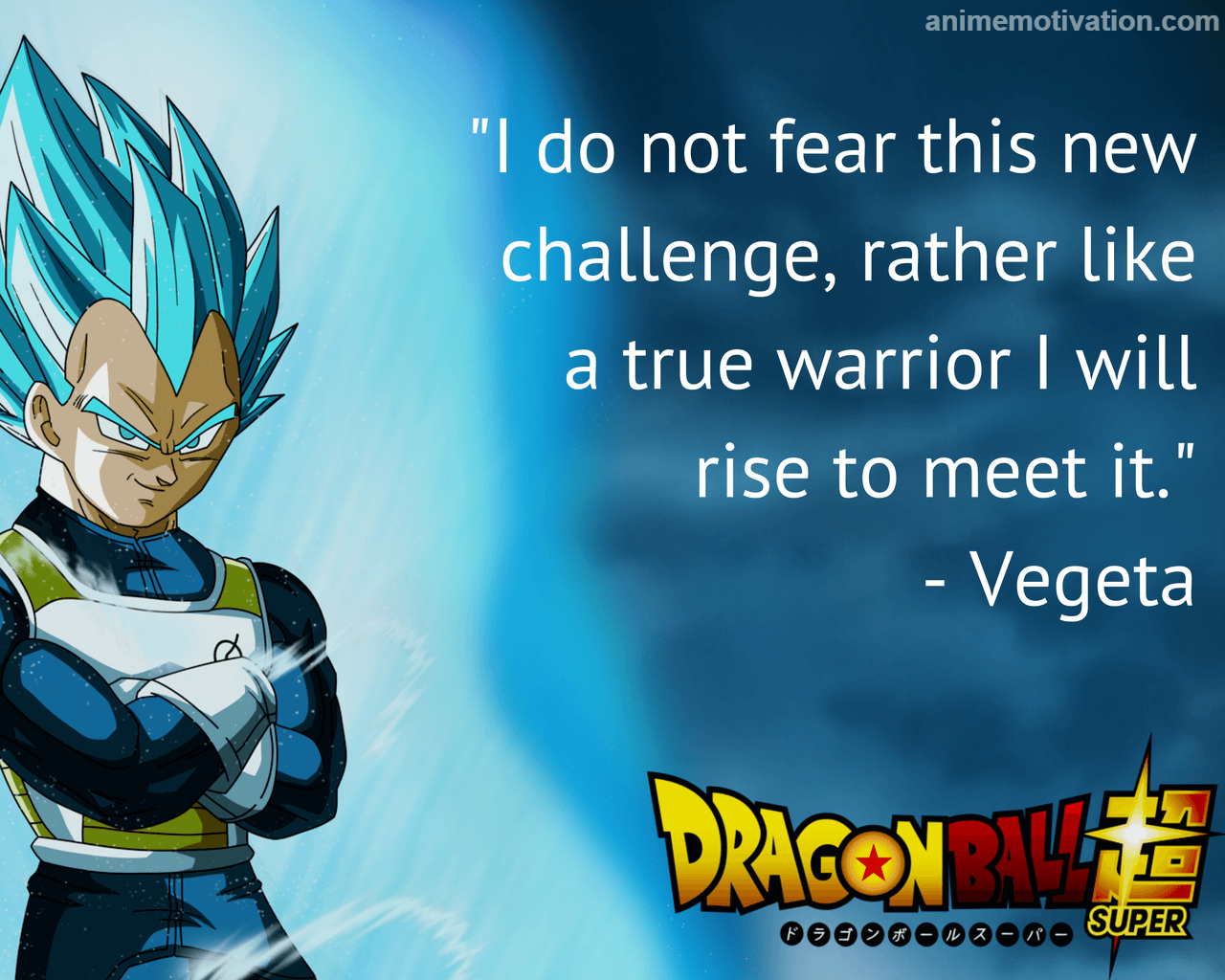 1280x1024 Inspirational Anime Wallpaper Ball Super Vegeta Quotes