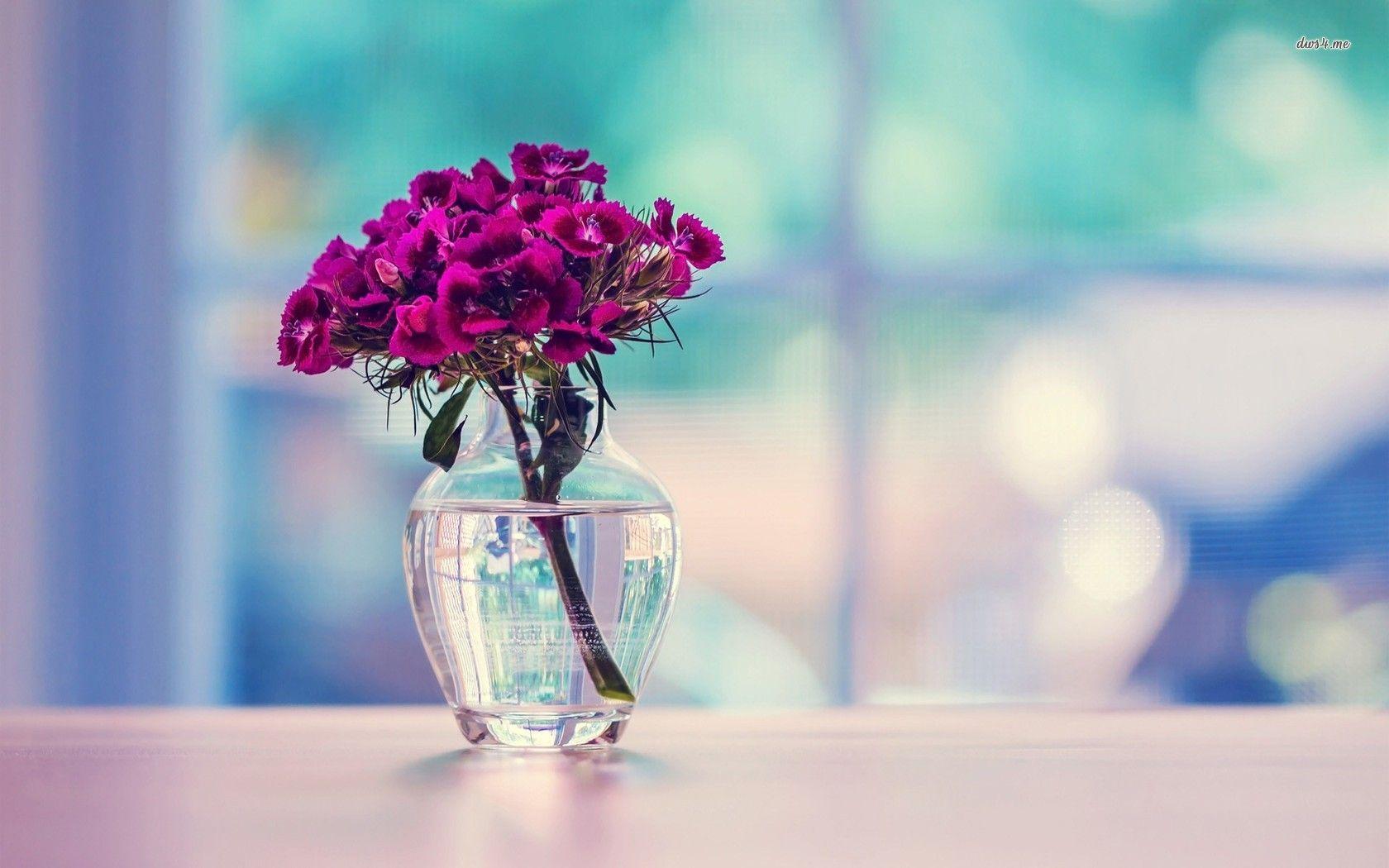 Flower Vase Desktop Wallpapers - Top Free Flower Vase Desktop Backgrounds -  WallpaperAccess