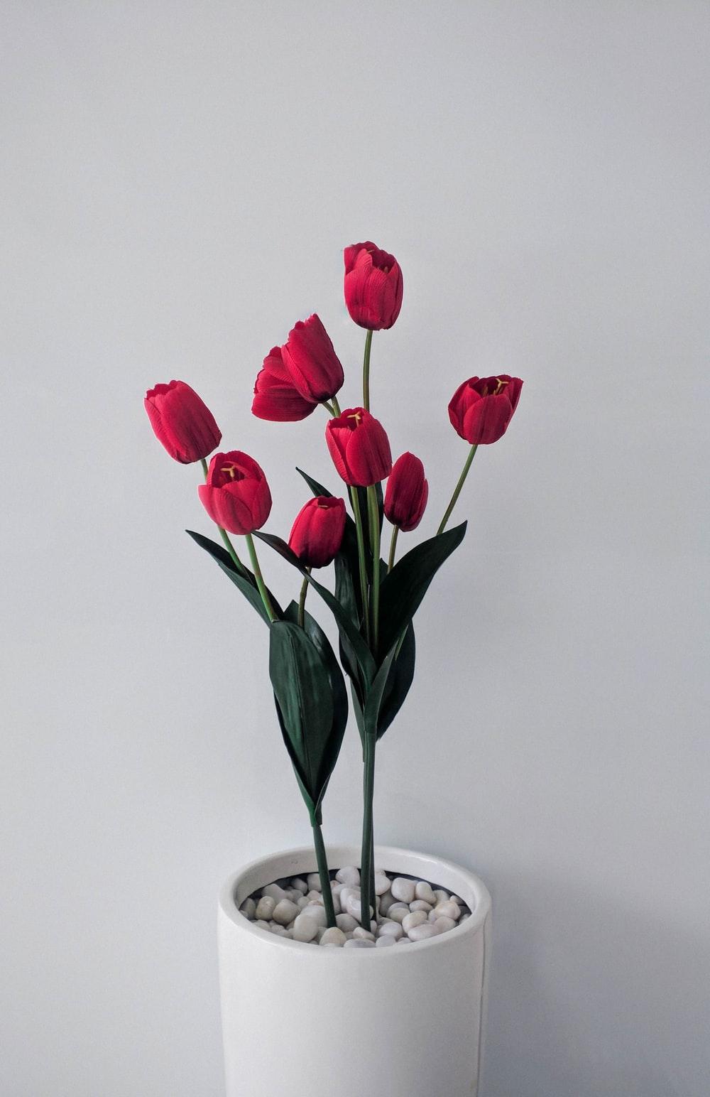1000x1544 Flower Vase Picture [HD]. Download Free Image
