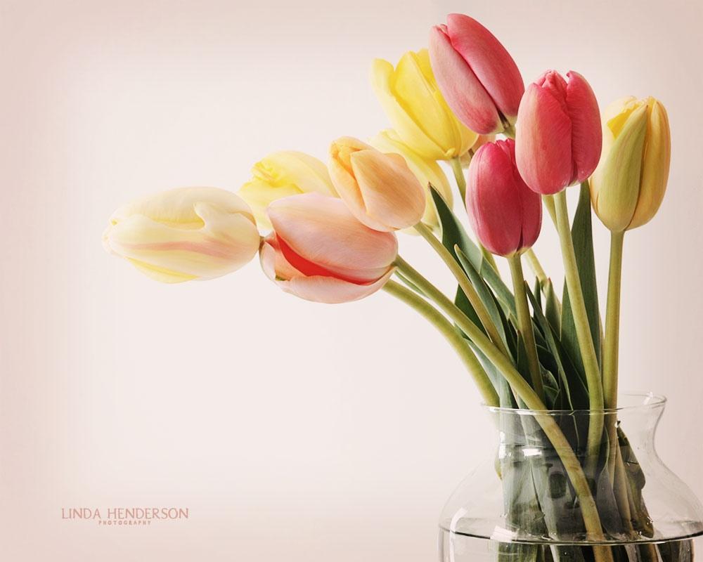 1000x800 Flowers in Vase Wallpaper