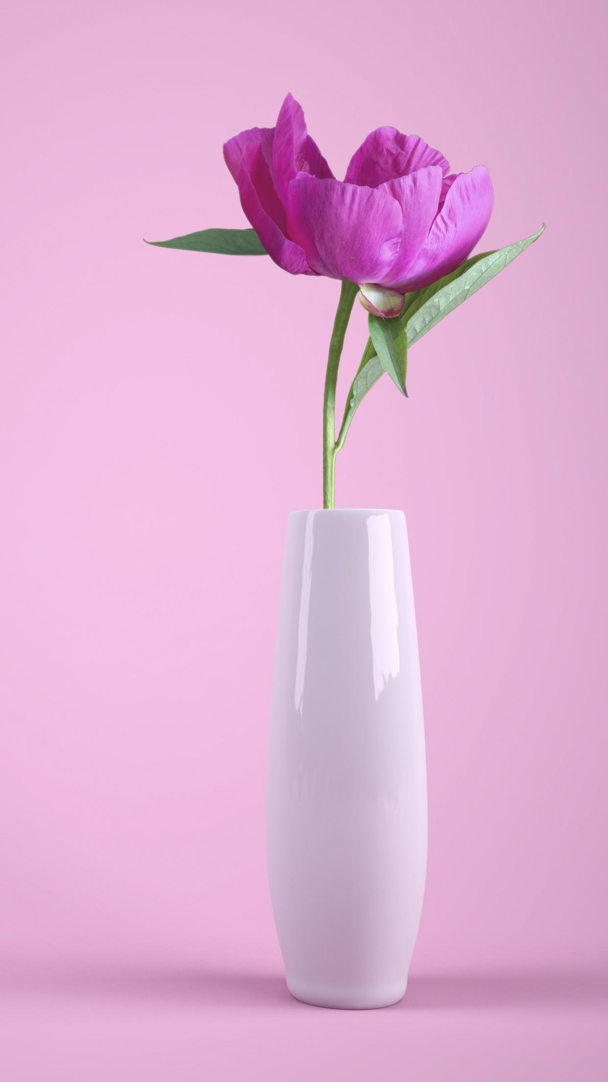 Flower Vase Wallpapers Top Free Flower Vase Backgrounds WallpaperAccess