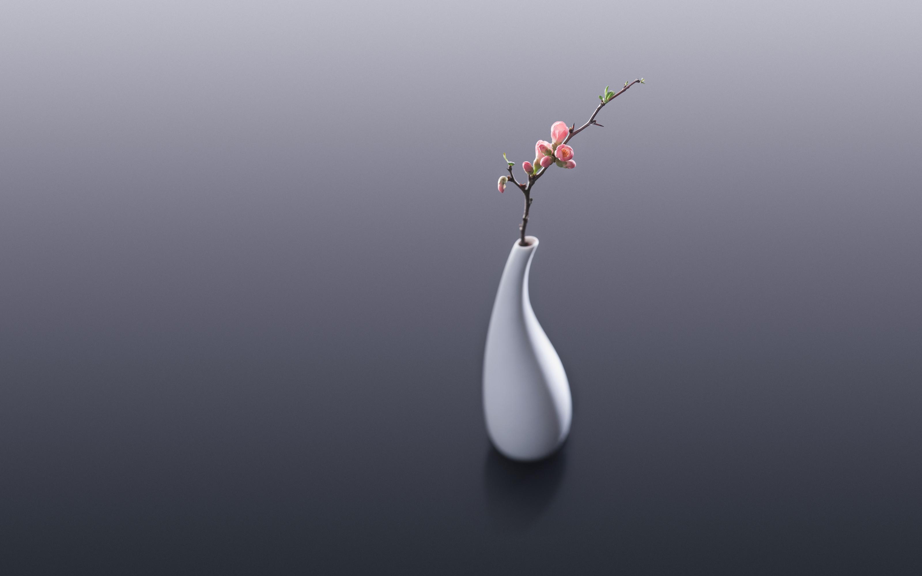 3200x2000 Wallpaper 4k Flower Vase flower, Vase