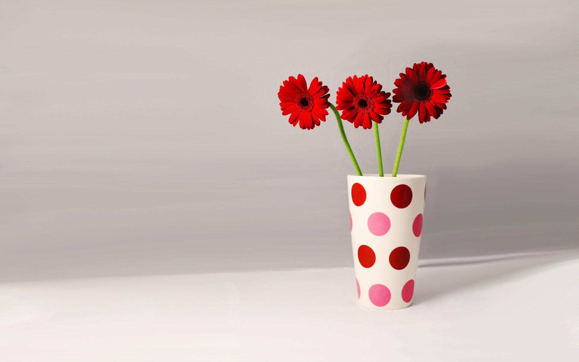 1920x1200 Free photo: Red Flower Vase, Blossom, Bouquet