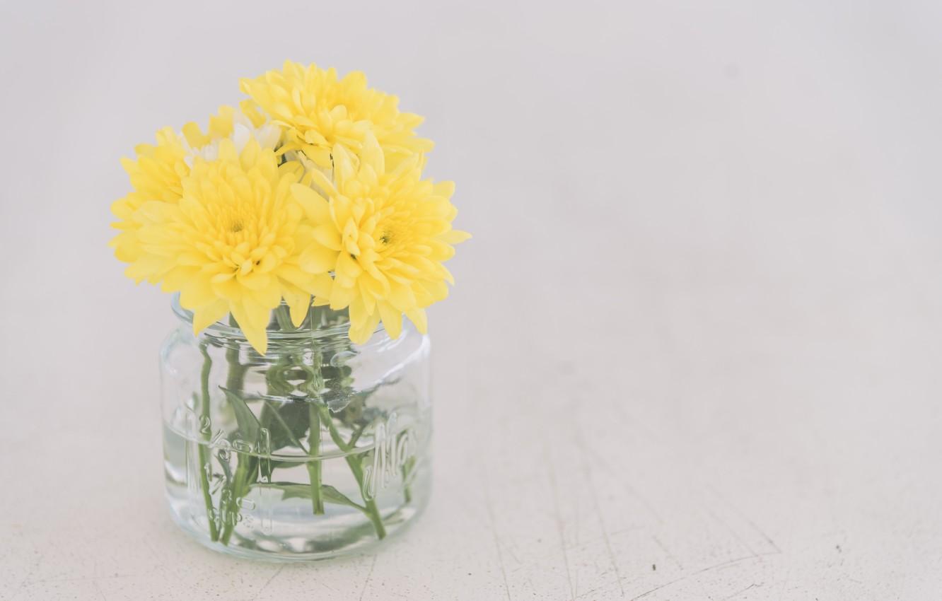1332x850 Wallpaper flowers, yellow, vase, Flower, vase image for desktop, section цветы