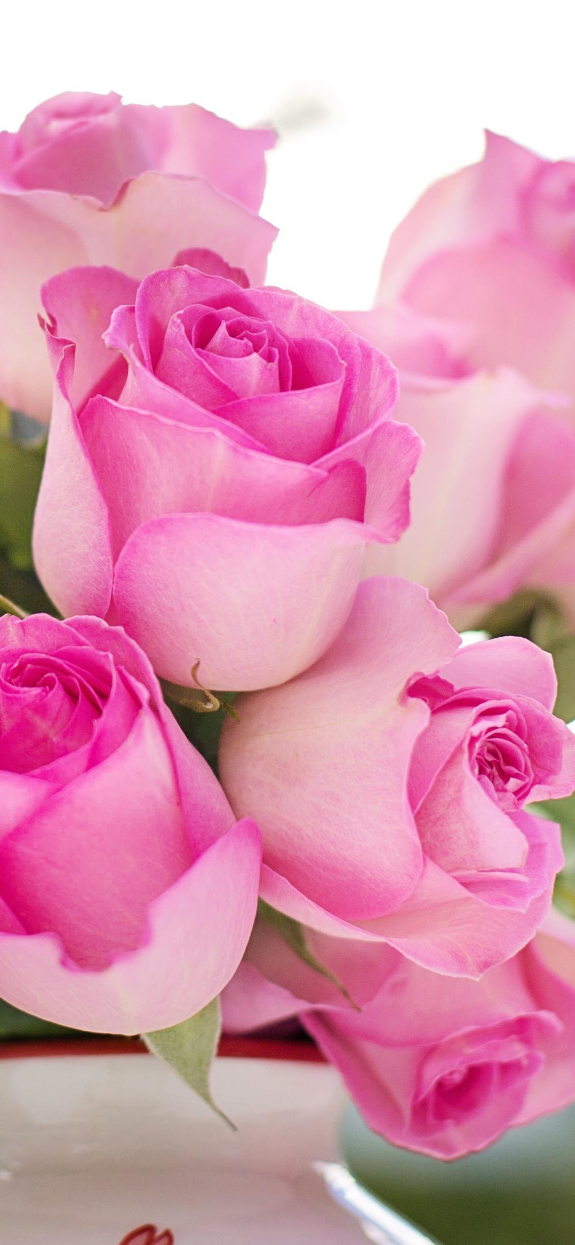 1125x2436 Download 1125x2436 wallpaper flower vase, pink roses, fresh, iphone x 1125x2436 HD image, background, 8027