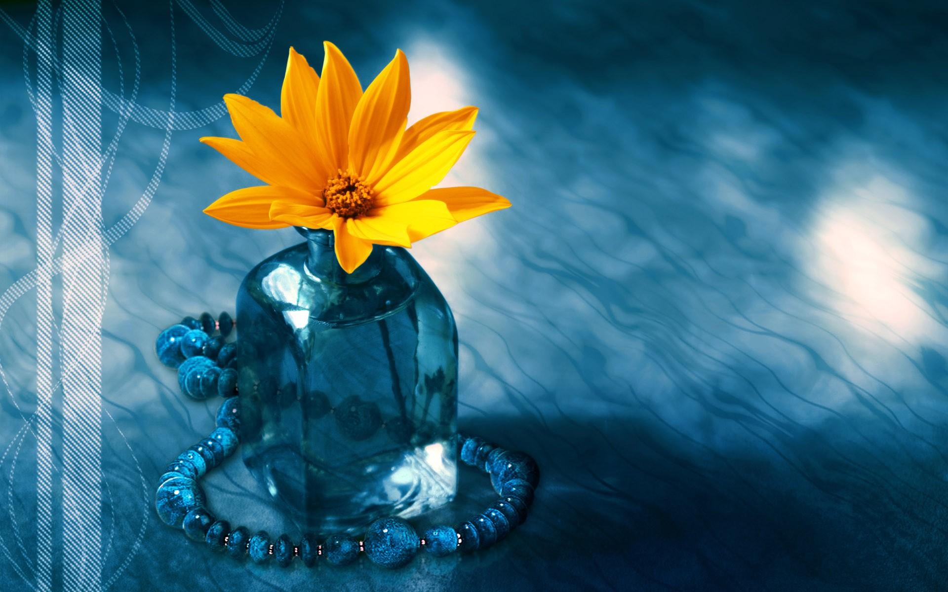 Flower Vase Wallpapers Top Free Flower Vase Backgrounds WallpaperAccess