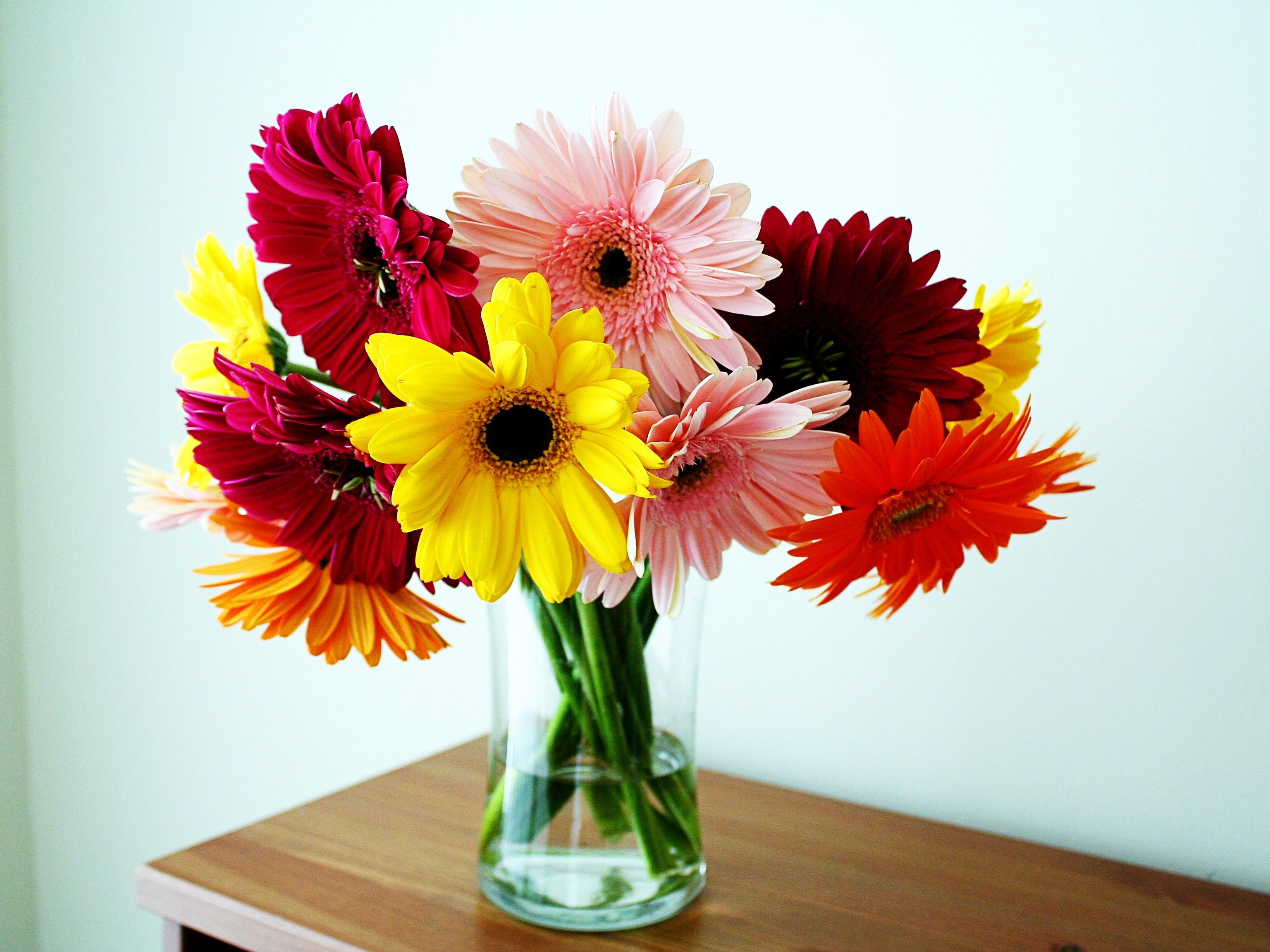 3072x2304 Gerbera, Flower, Vase, Table wallpaper