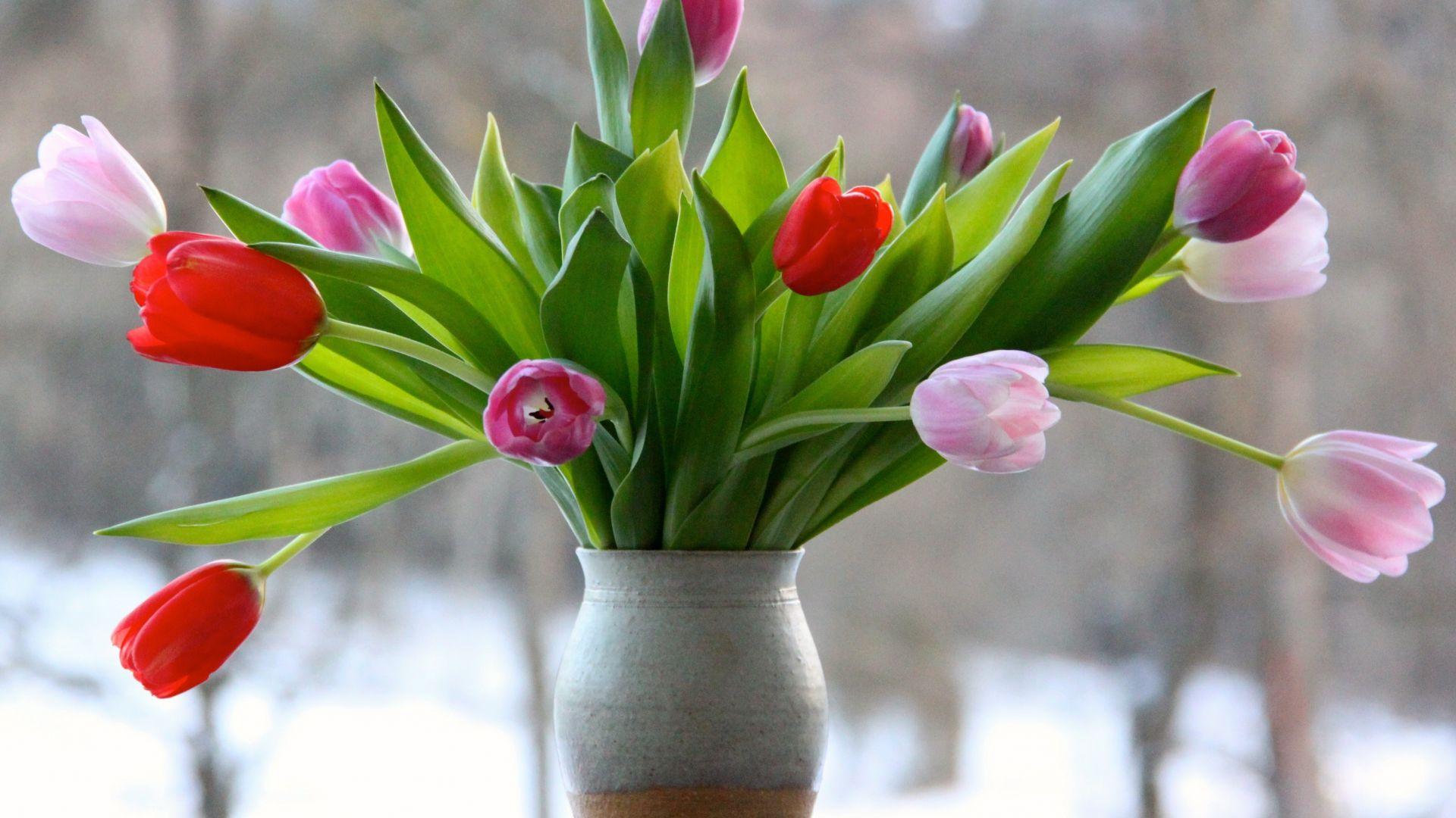 Flower Vase Desktop Wallpapers - Top Free Flower Vase Desktop ...