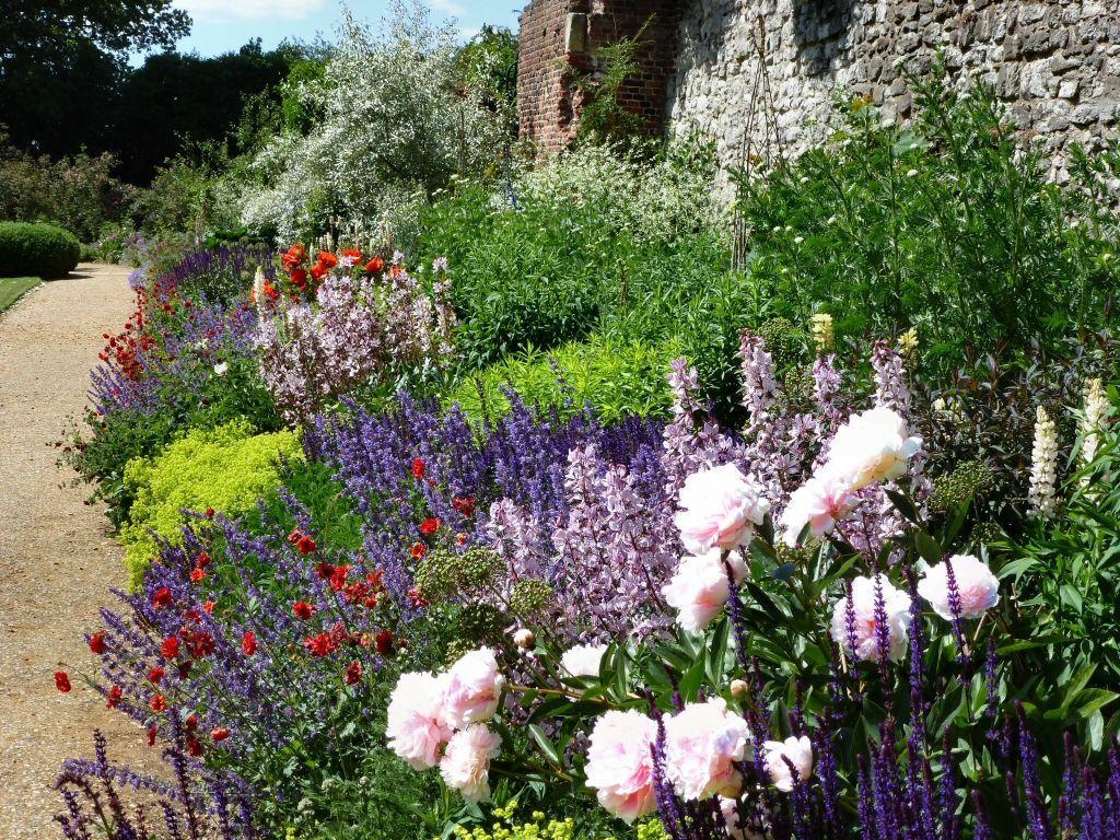 1024x768 Rose Garden Wallpaper