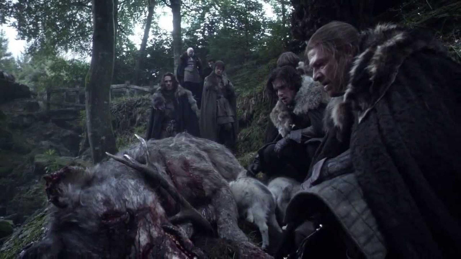1600x900 Game of Thrones' Direwolves: Where Are the Stark Pets and Which Are Still Alive?