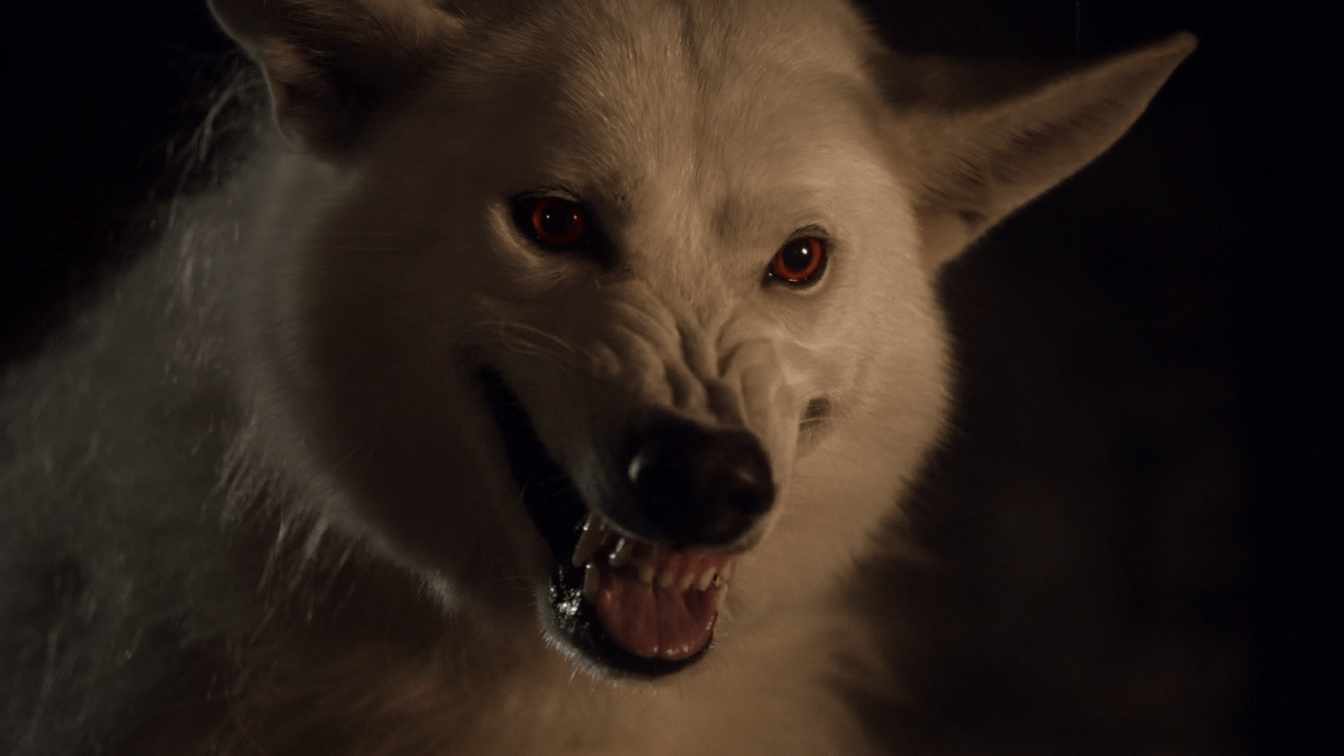 1920x1080 Ghost. Game of Thrones