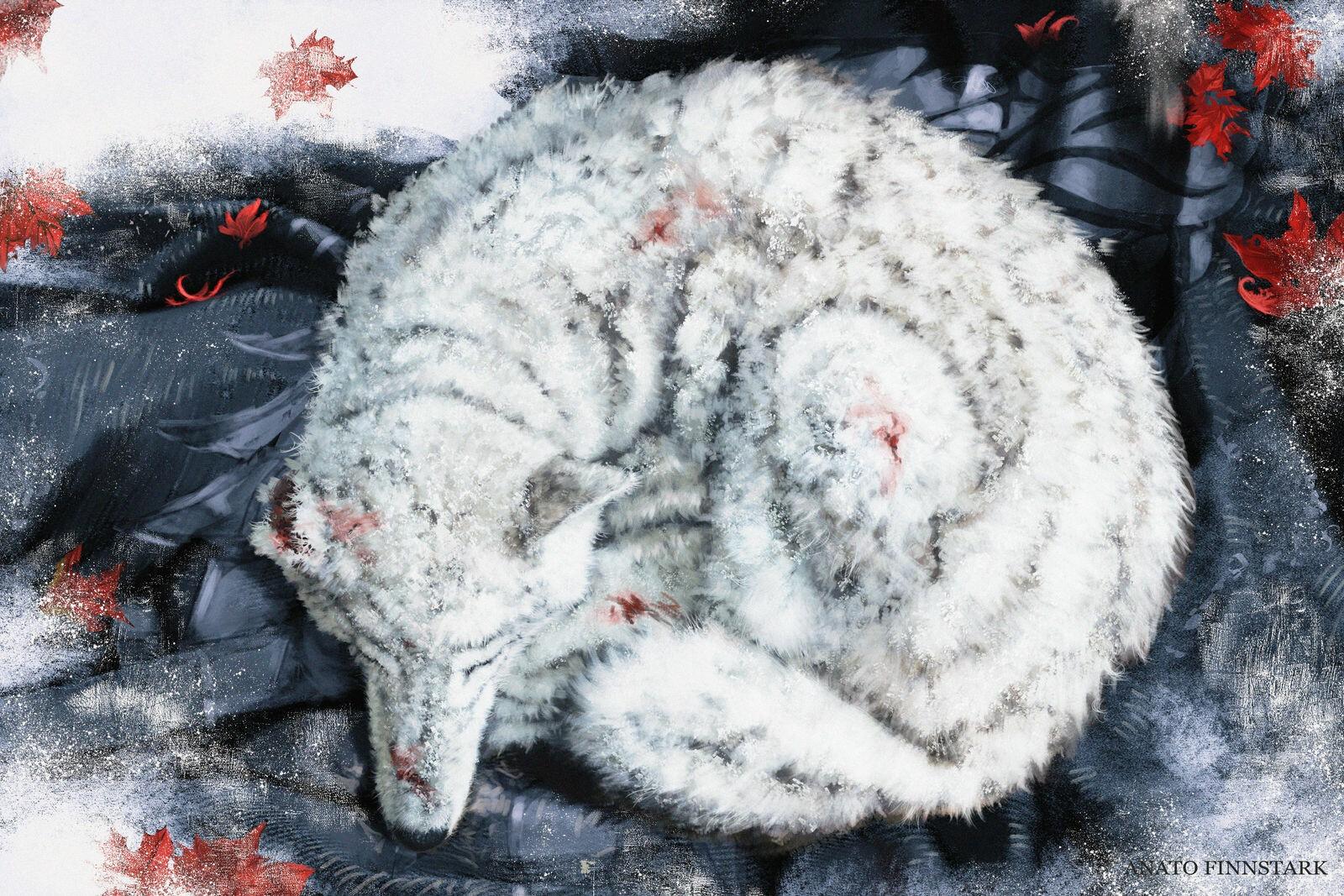 1600x1067 HD Wallpaper for theme: Direwolf HD wallpaper, background