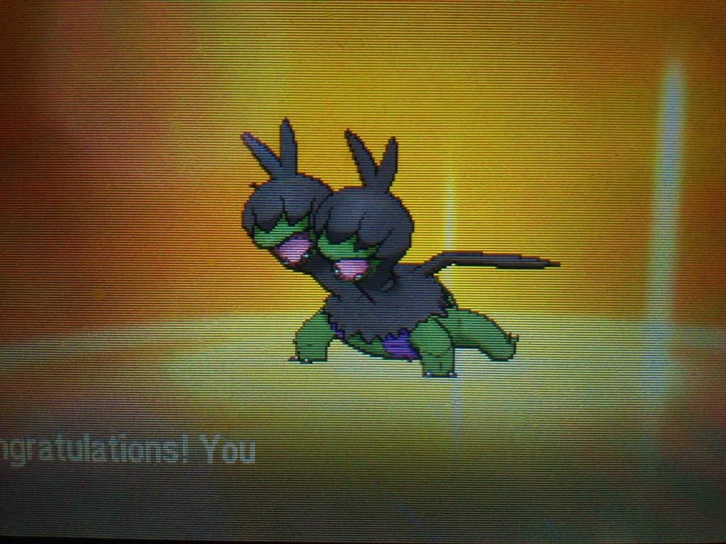 1024x768 Shiny Deino Turned Hydreigon!