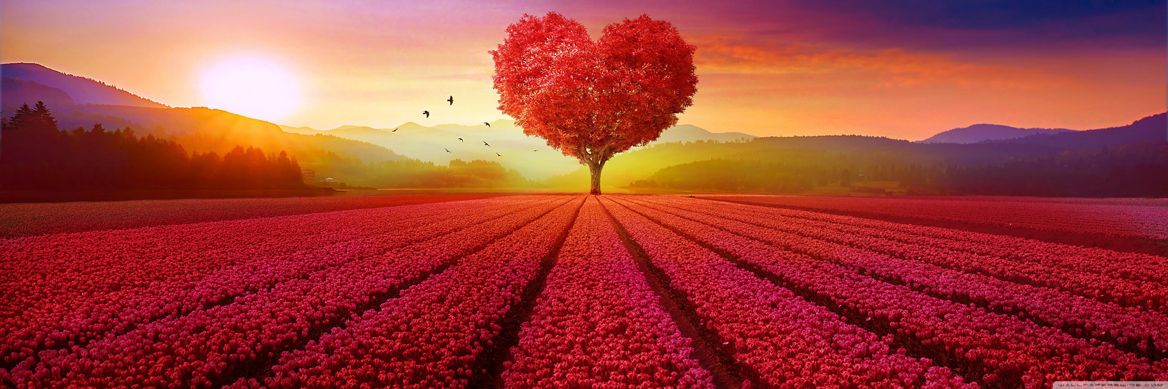 4000x1333 Love Ultra HD Wallpaper for 4K UHD Widescreen desktop, tablet & smartphone