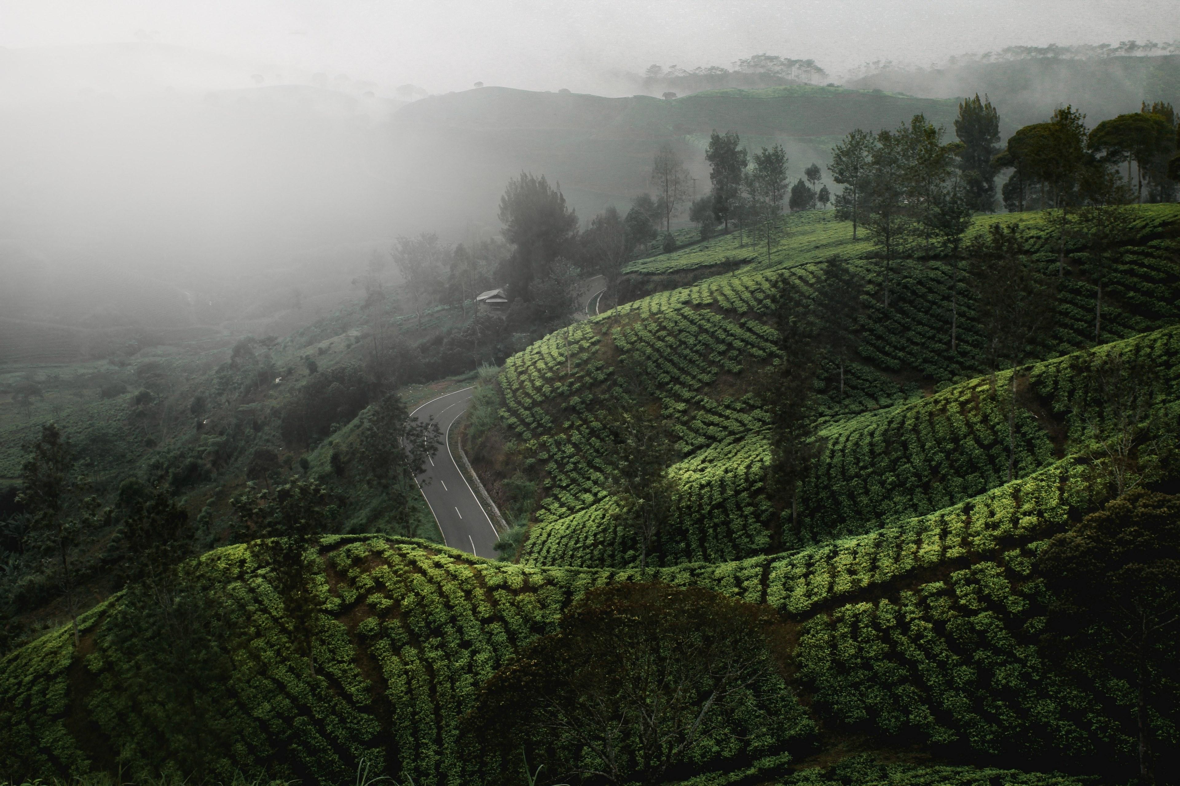 3840x2560 Wallpaper / cukul pangalengan west java_ indonesia 4k wallpaper