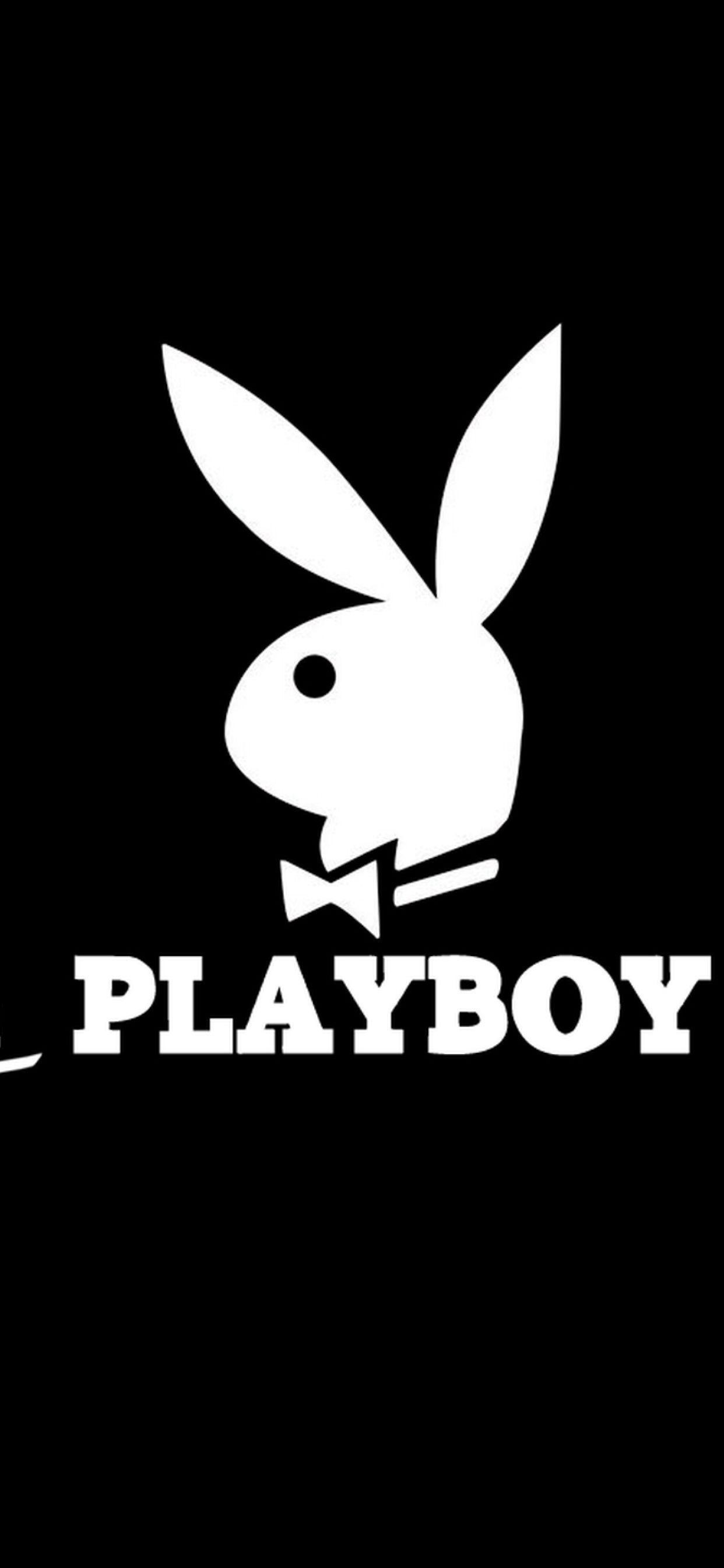 Download Aesthetic Playboy LV Wallpaper