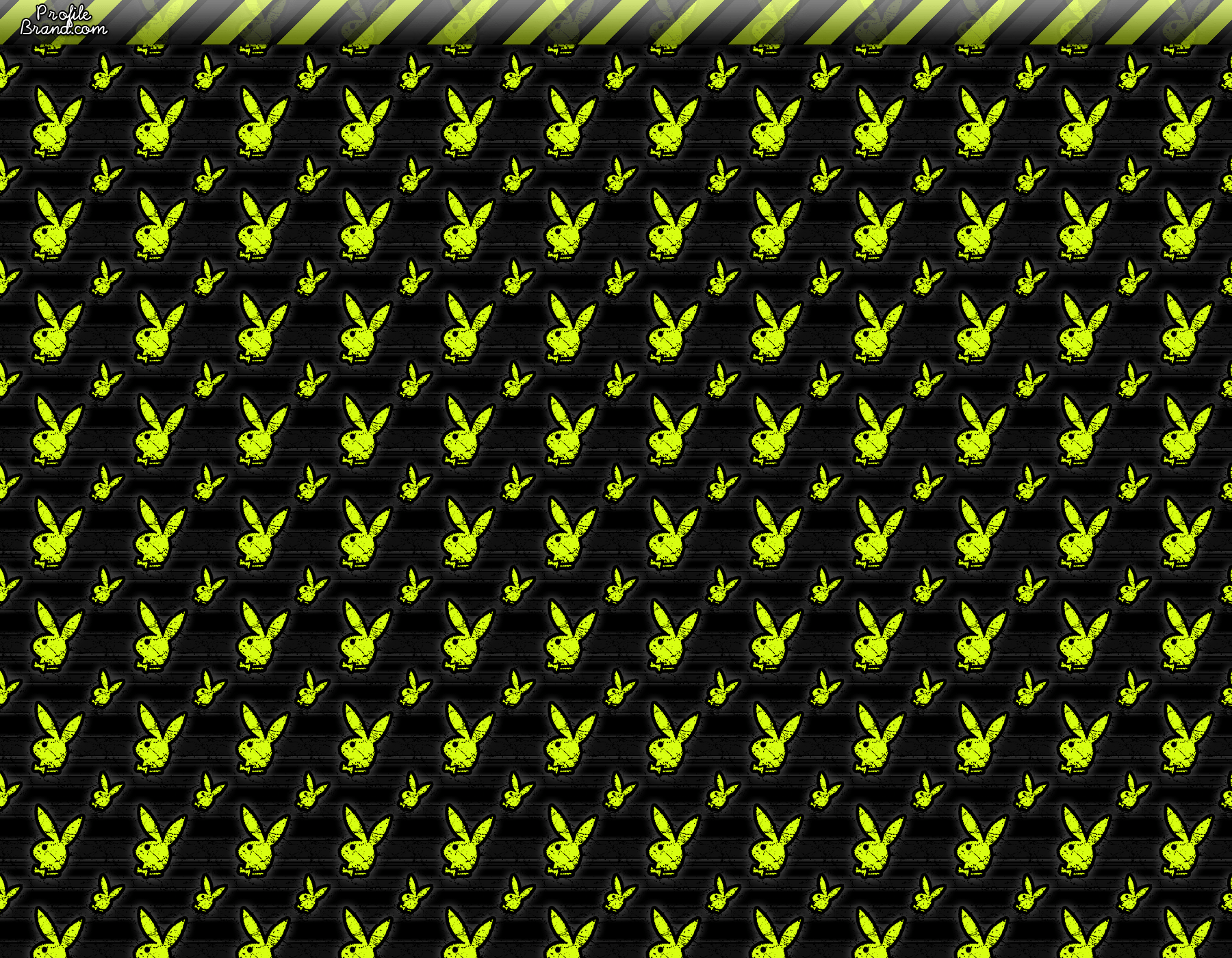 1800x1400 Playboy Bunny Logo Wallpaper