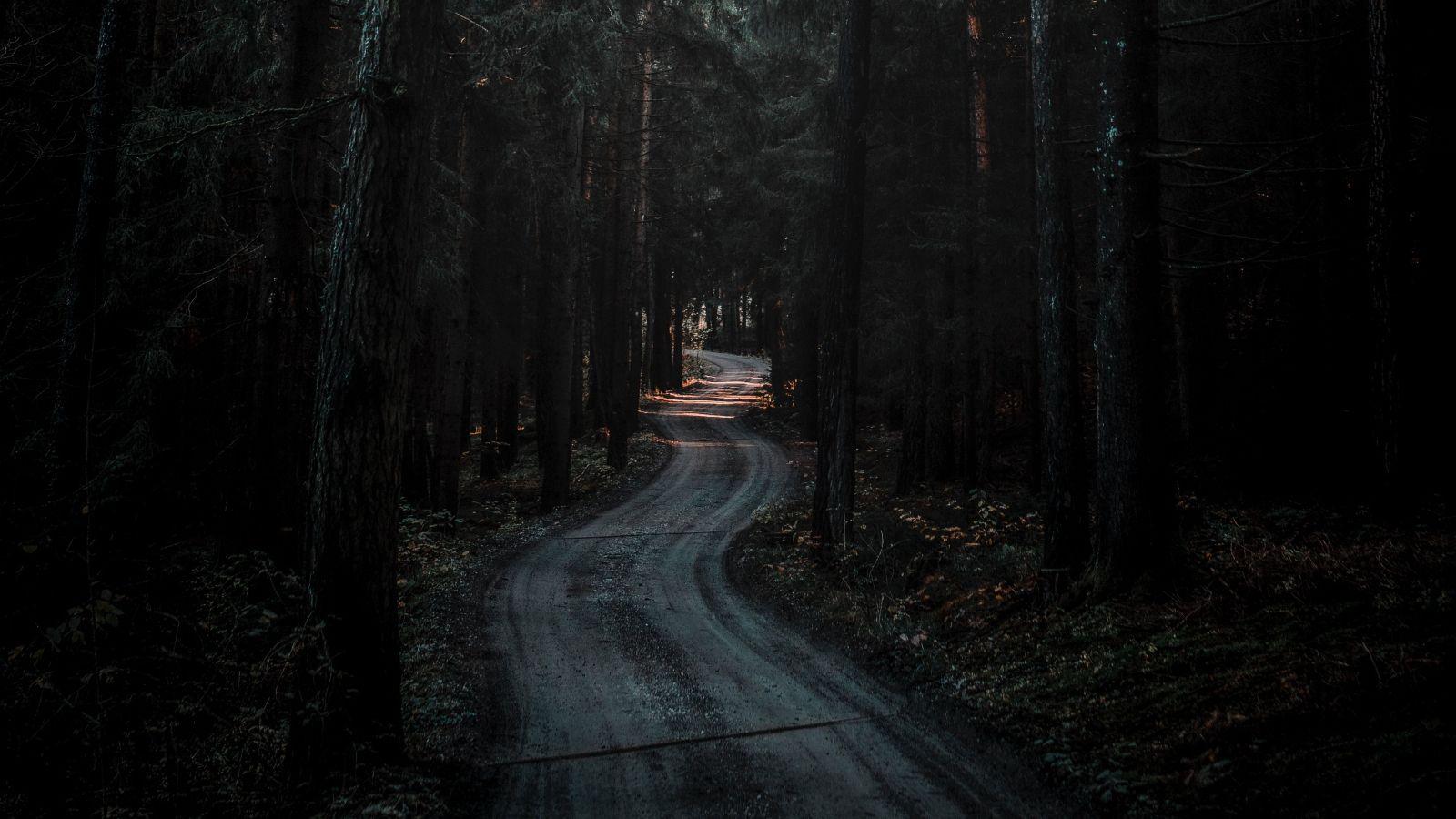 1600x900 Forest Road Dark wallpaper in 1600x900 resolution