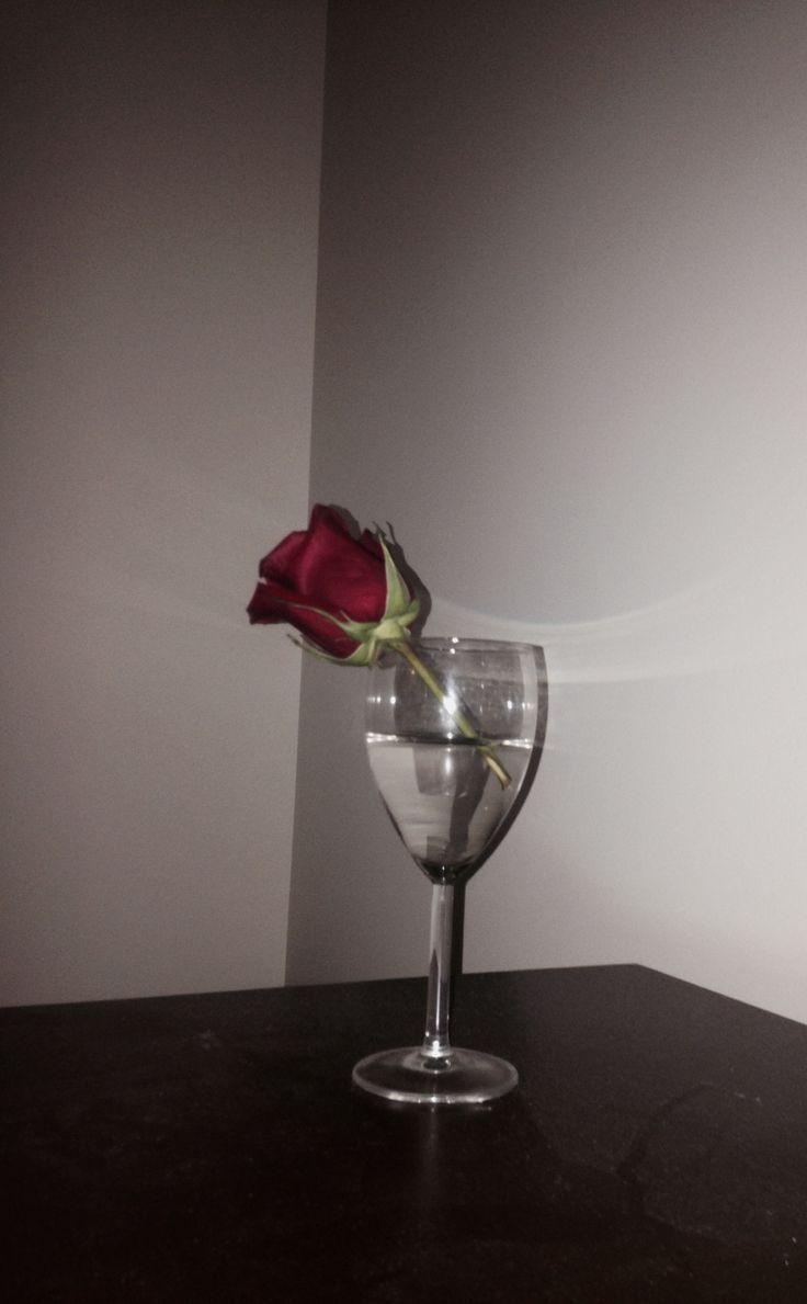 736x1189 emilylovely - #emilylovely #. Aesthetic roses, Flower aesthetic, Wallpaper iphone roses
