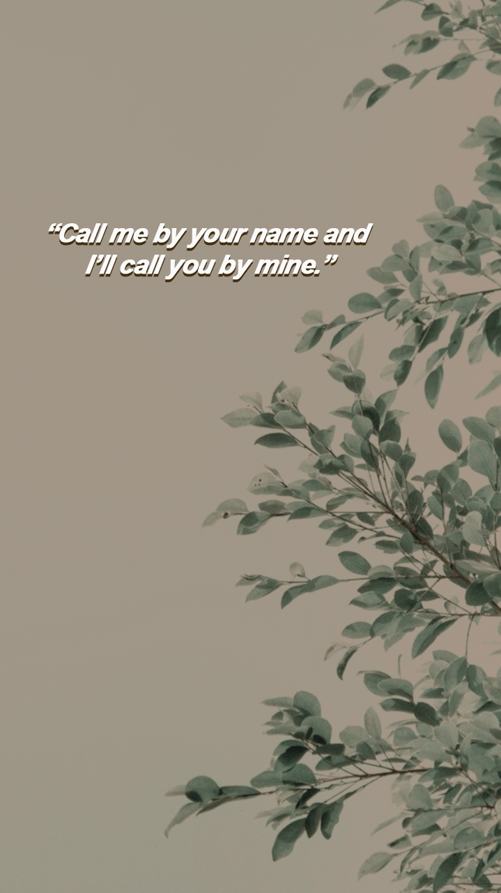 Call Me By Your Name Aesthetic Wallpapers Top Free Call Me By Your Name Aesthetic Backgrounds Wallpaperaccess