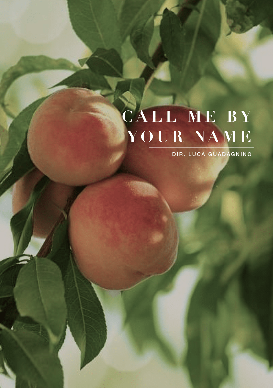 Call Me By Your Name Aesthetic Wallpapers Top Free Call Me By Your Name Aesthetic Backgrounds Wallpaperaccess