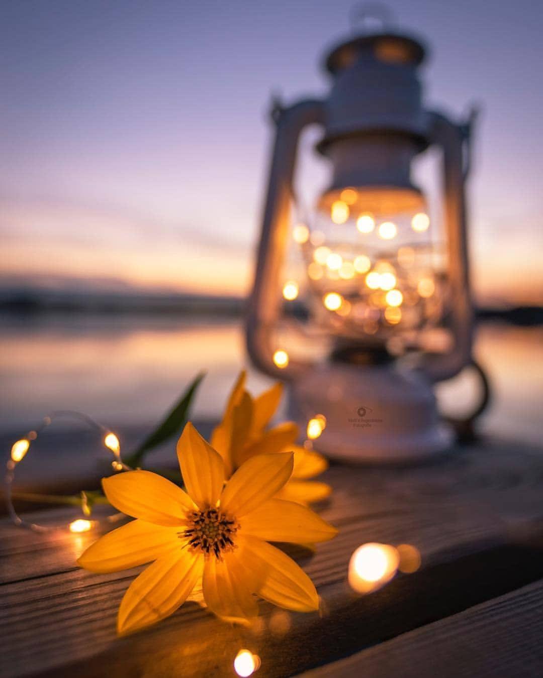 1080x1350 Wallpapers - Top Free 1080x1350 Backgrounds - WallpaperAccess