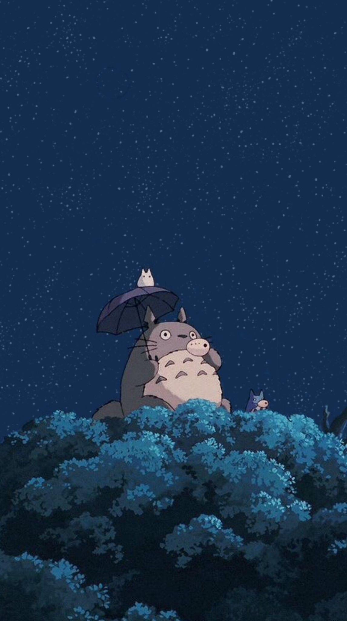 Totoro Aesthetic Wallpapers - Top Free Totoro Aesthetic Backgrounds -  Wallpaperaccess