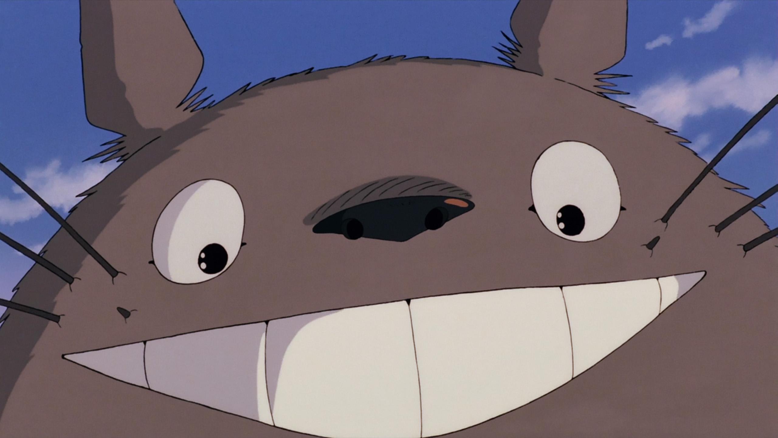 2560x1440 Totoro desktop background wallpaper