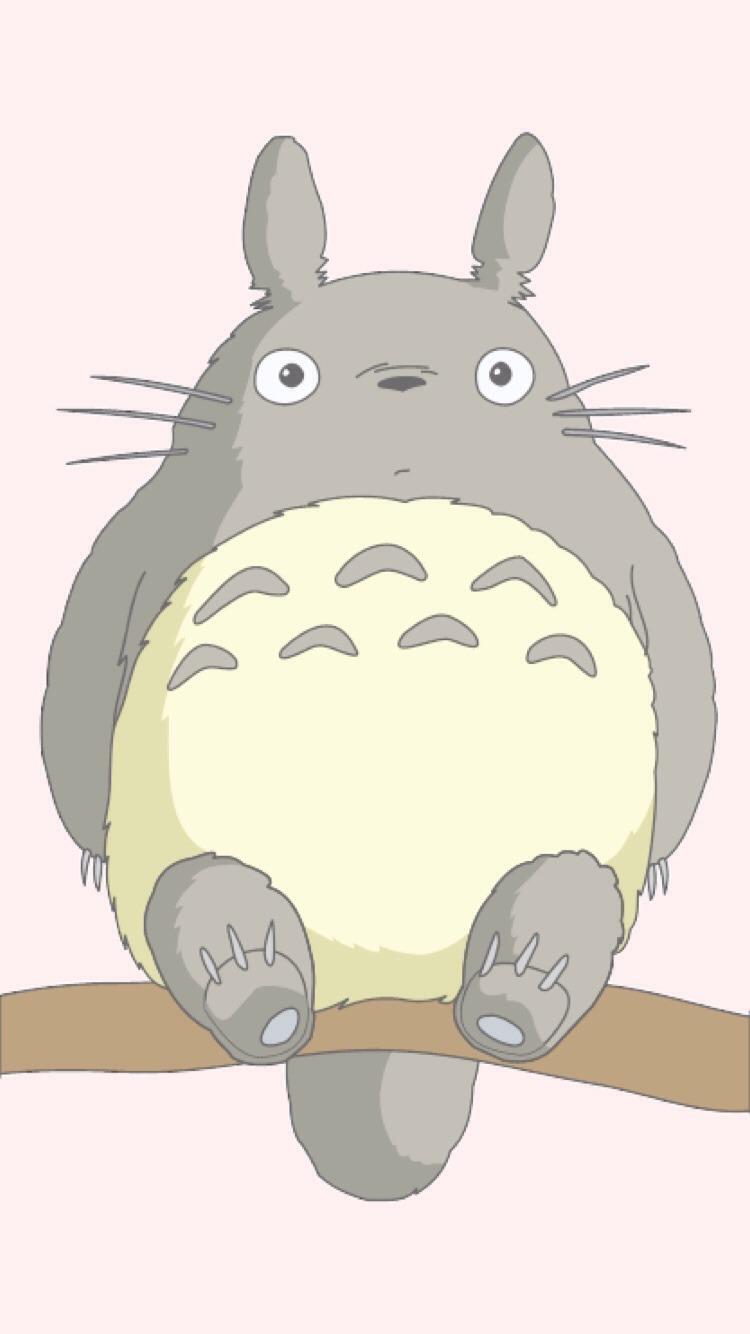 Totoro Aesthetic Wallpapers - Top Free Totoro Aesthetic Backgrounds ...