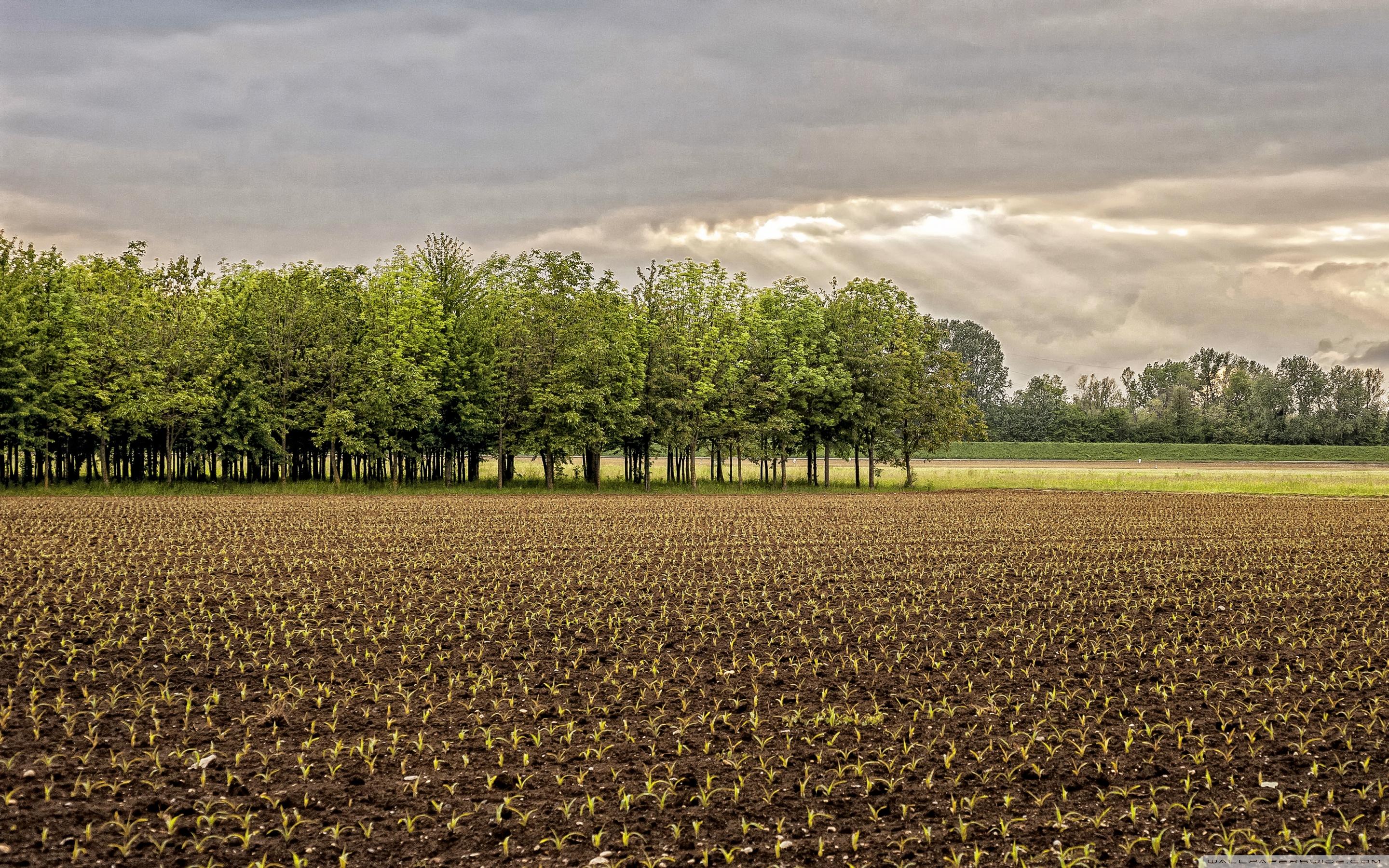 2880x1800 Somewhere in Northern Italy Ultra HD Desktop Background Wallpaper for : Widescreen & UltraWide Desktop & Laptop : Multi Display, Dual Monitor : Tablet