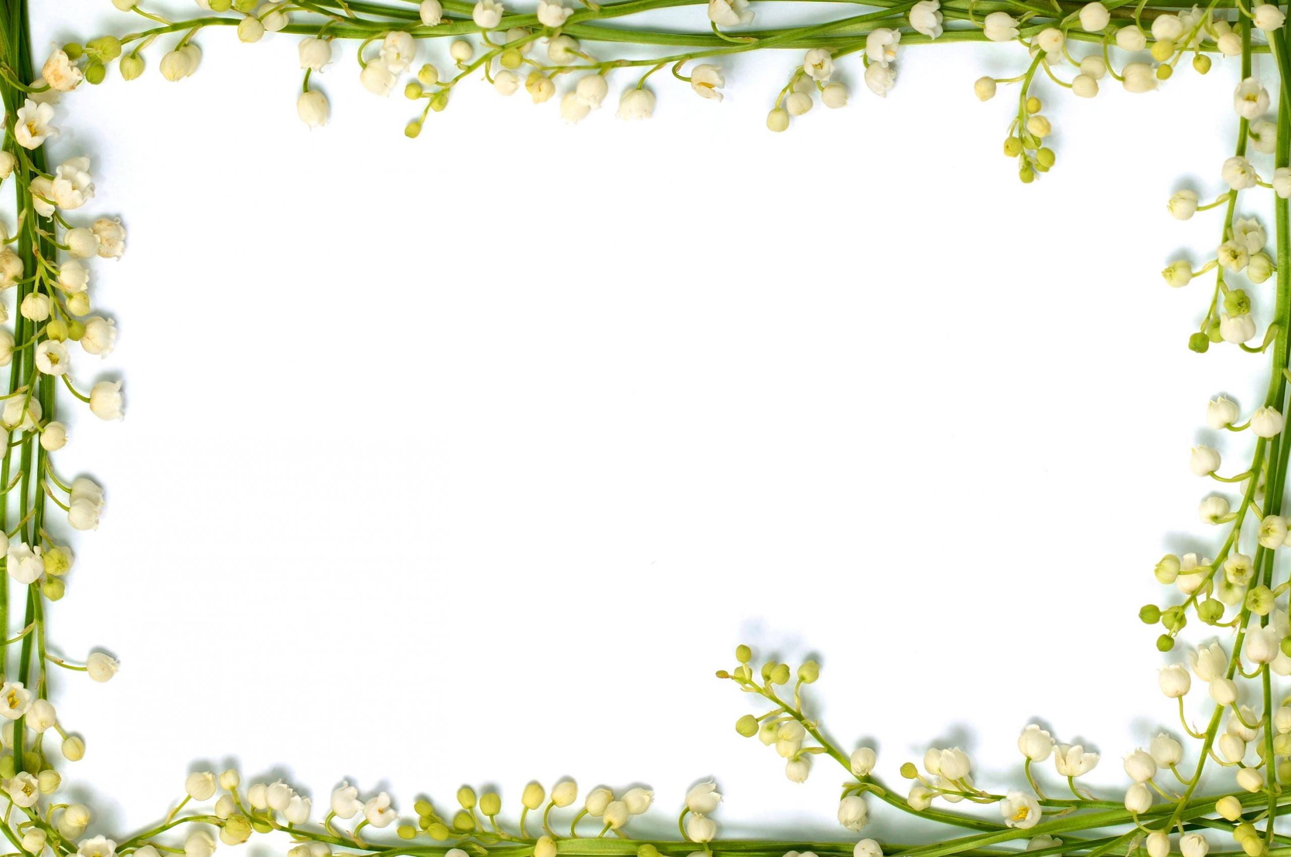 2560x1700 Free download Flower Wallpaper Border Rose Picture [2938x2014] for your Desktop, Mobile & Tablet. Explore Pink Rose Wallpaper Border. Victorian Wallpaper Border, Rose Wallpaper Border Designs, Victorian Wallpaper Borders Die Cut