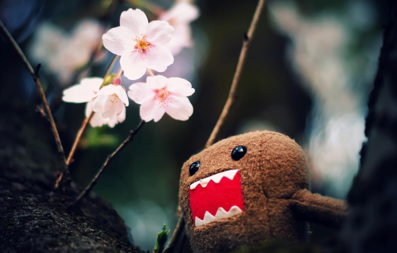 1332x850 Wallpaper Macro, Flowers, Branches, Photo, Tree, Wallpaper, Toy, Picture, Wallpaper, Character, DOMO Kun, Domo Kun Image For Desktop, Section макро