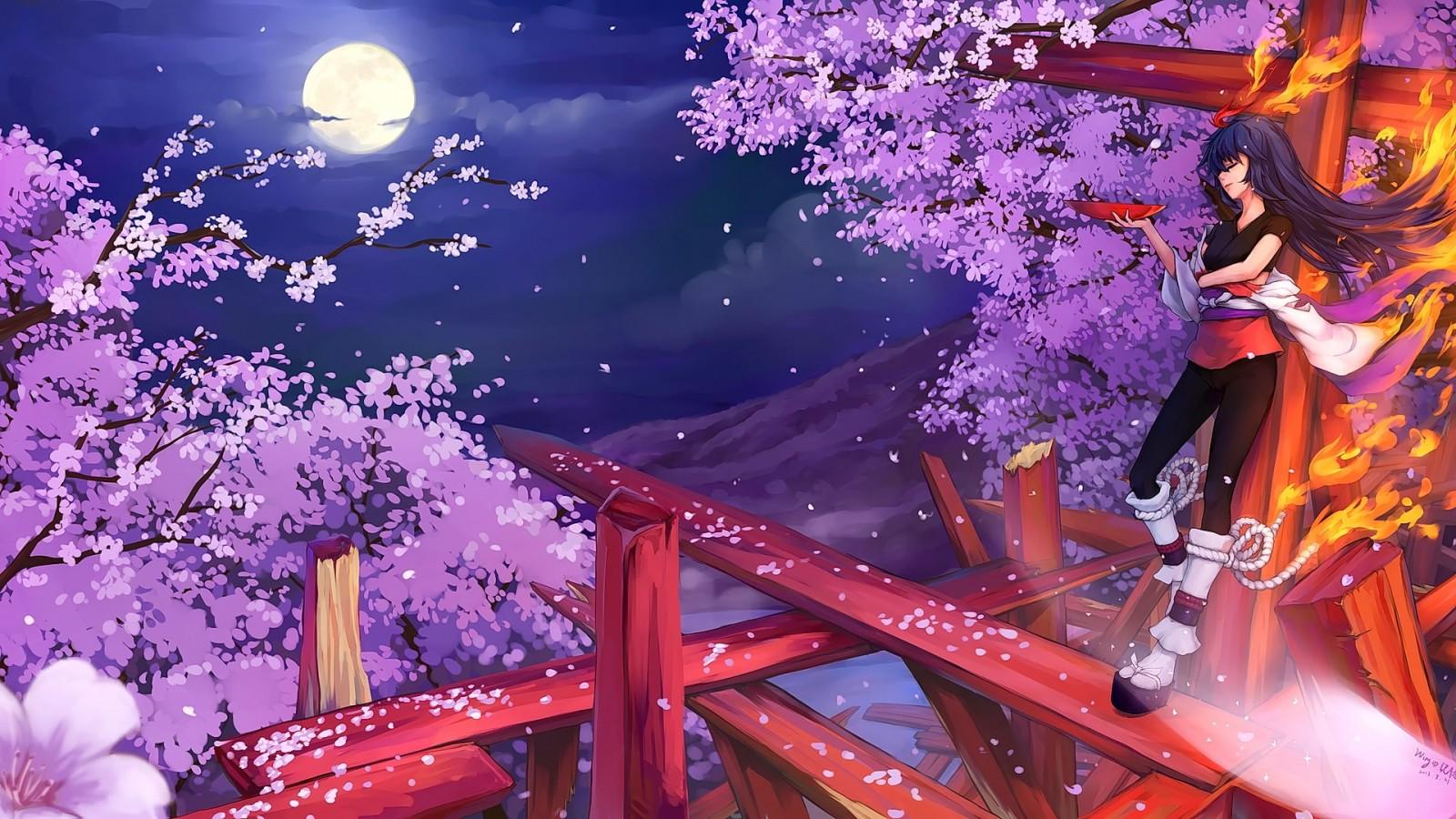 1600x900 night, looking away, long hair, anime, anime girls, brunette, smiling, Moon, cherry blossom, flower, screenshot, computer wallpaper. Mocah HD Wallpaper