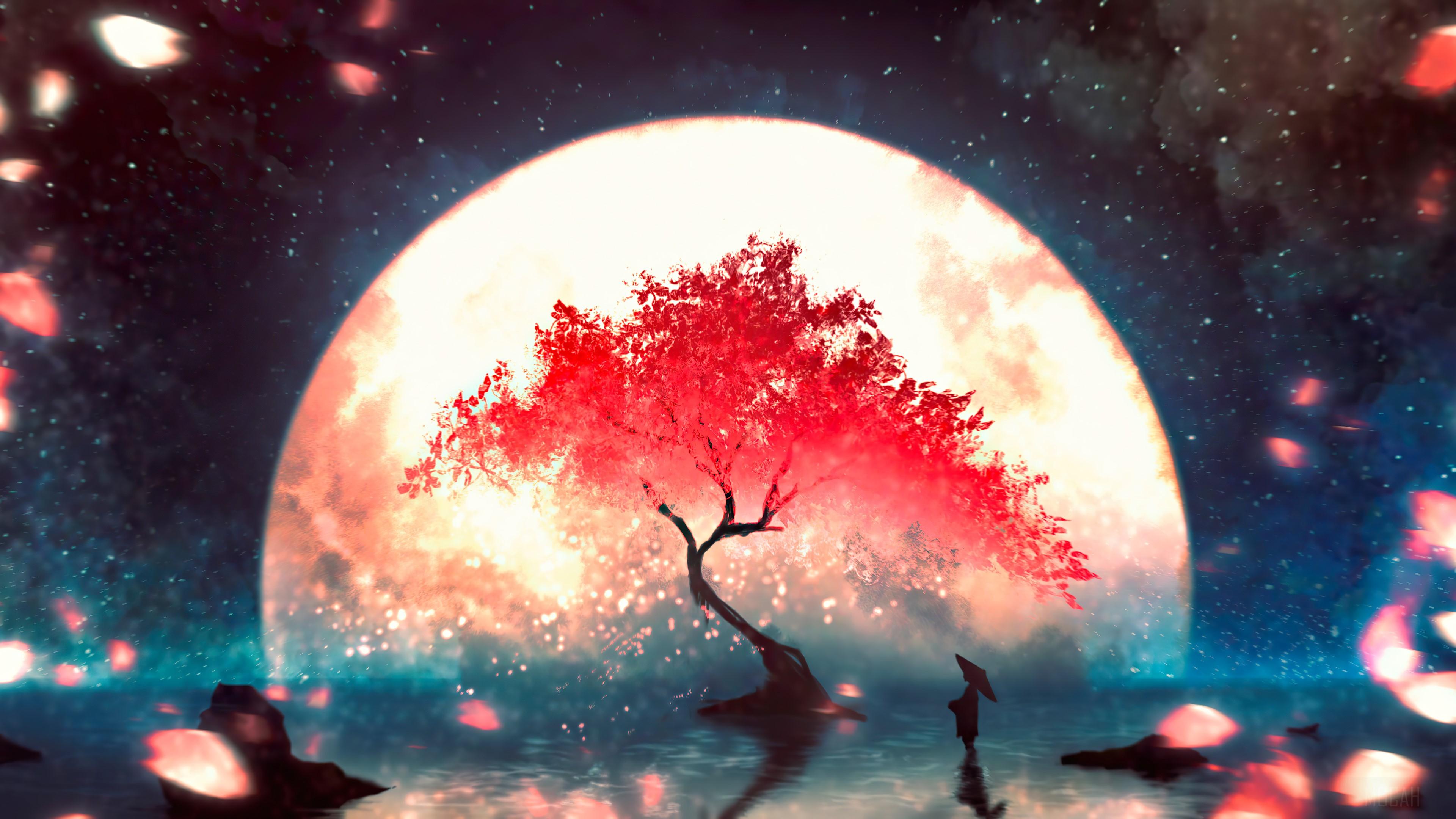 3840x2160 Anime, Night, Scenery, Moon, Cherry Blossom 4k wallpaper. Mocah HD Wallpaper