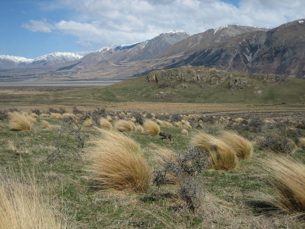 1024x768 Edoras. The site of Edoras (from Lord of the Rings) which