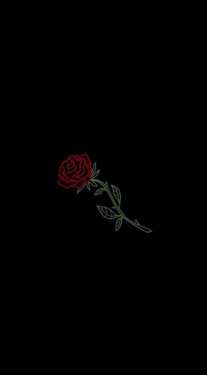 Black Red Rose Wallpapers - Top Free Black Red Rose Backgrounds ...