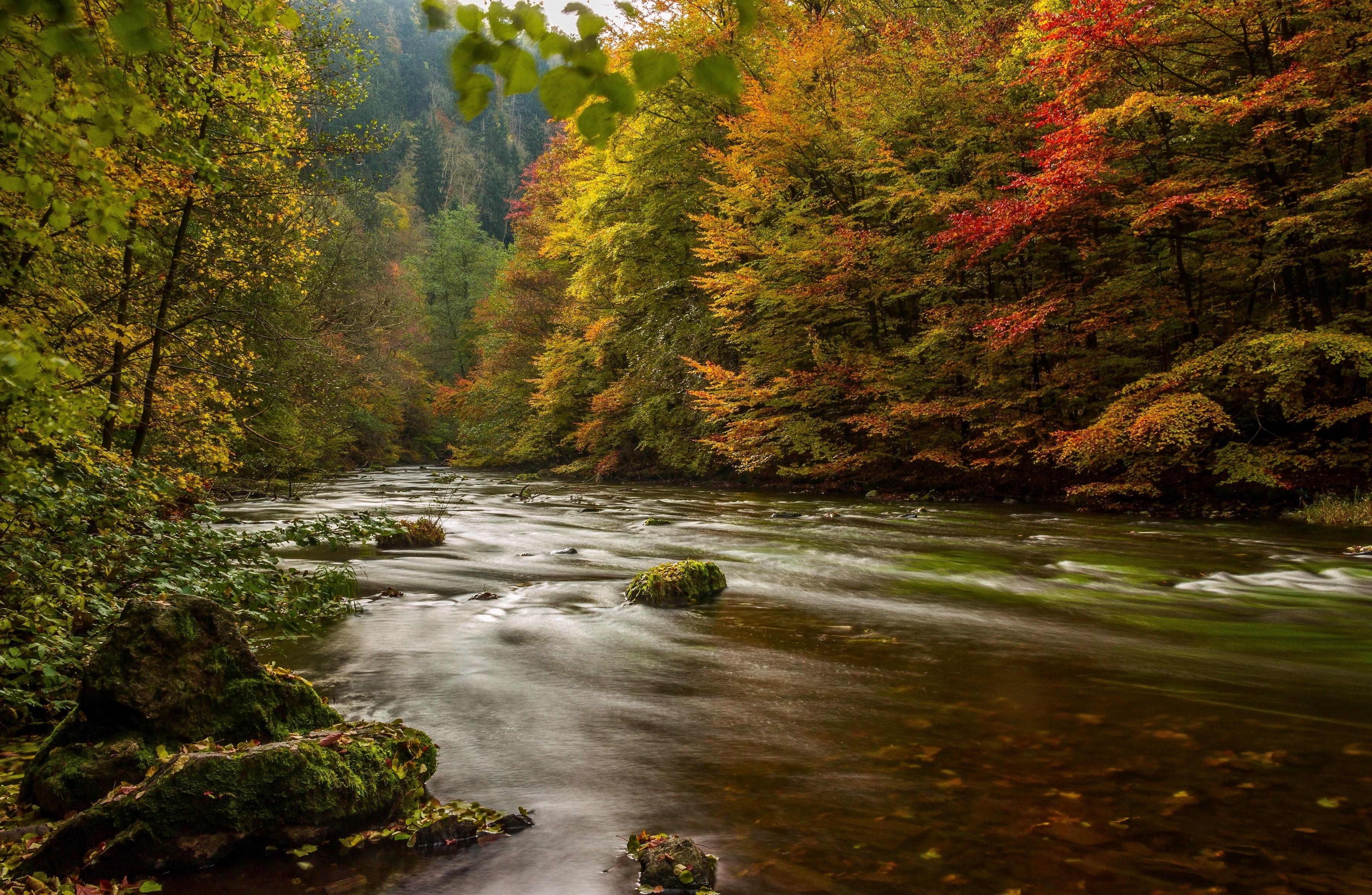 3600x2349 Germany Autumn Wallpaper