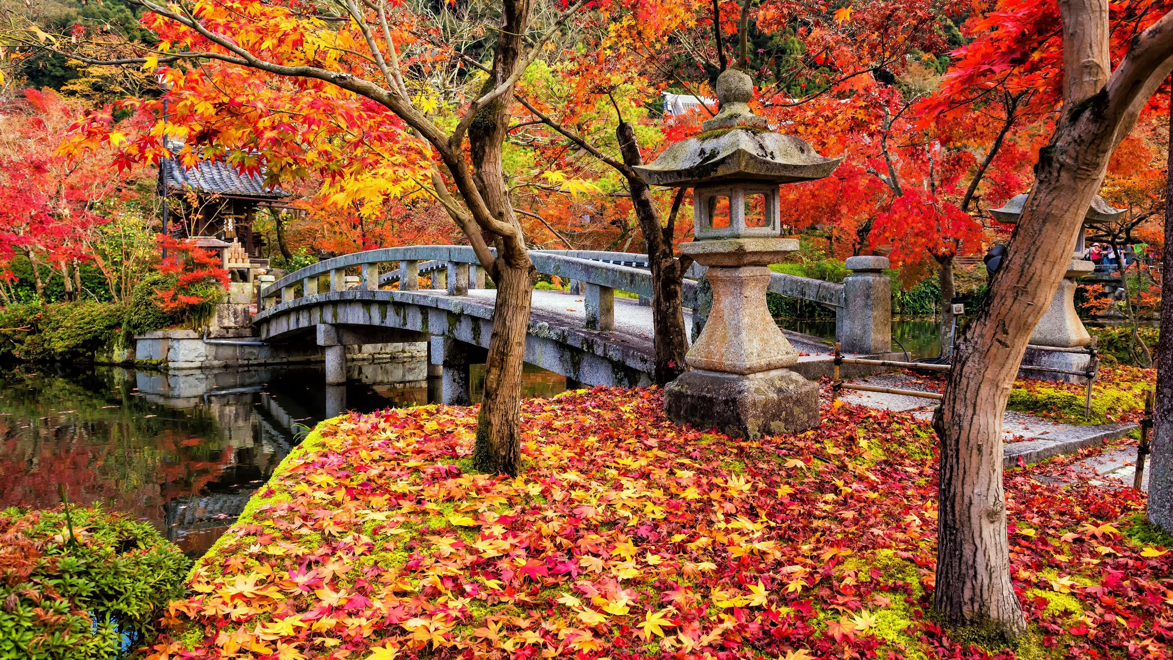 3840x2160 Japan Autumn HD Wallpaper