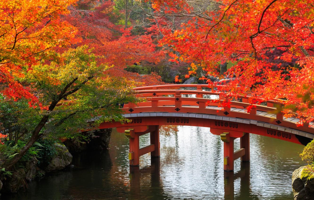 1332x850 Wallpaper autumn, trees, bridge, pond, Park, stones, Japan, Kyoto image for desktop, section природа