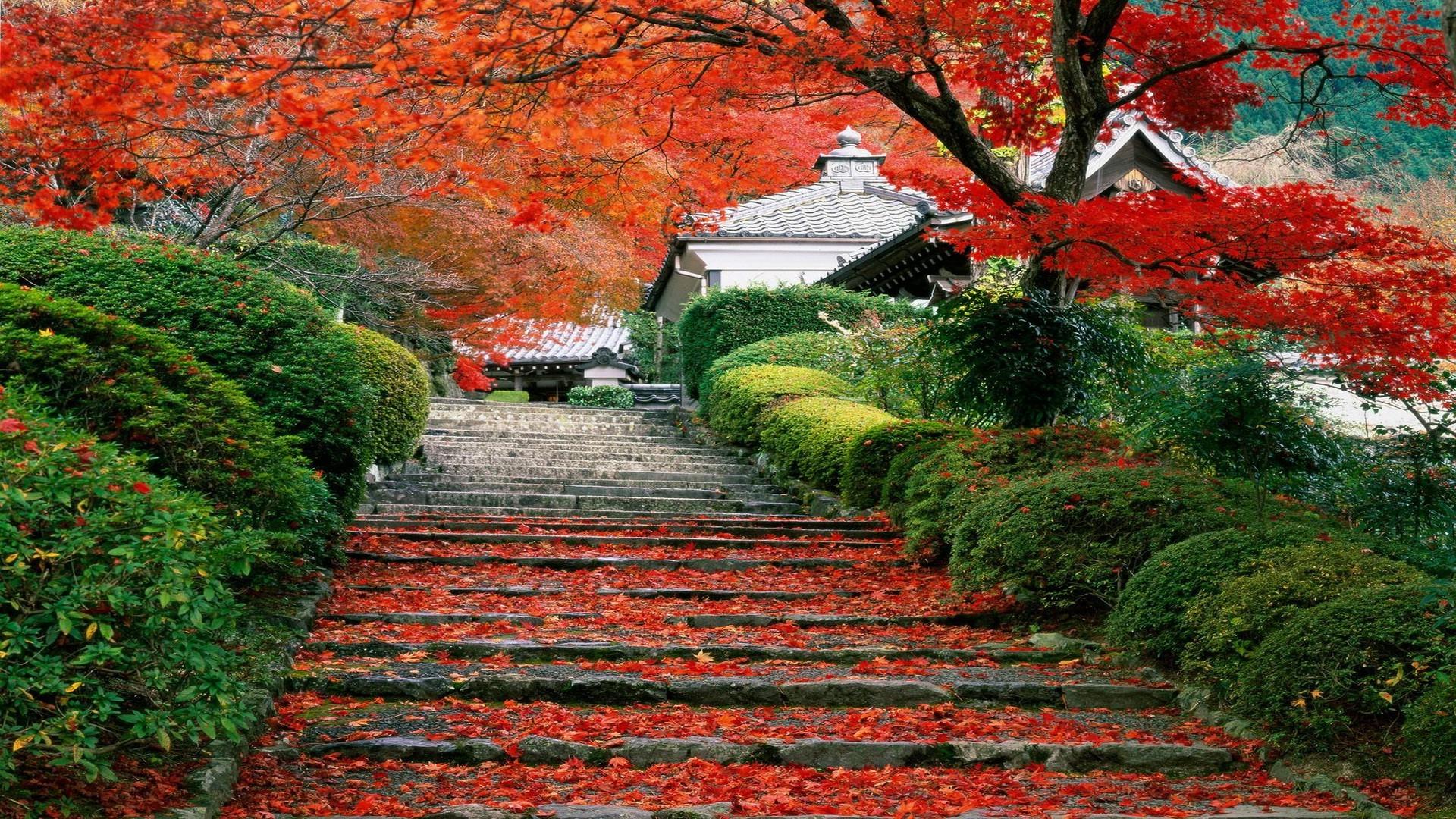 1920x1080 Japanese Autumn Wallpaper