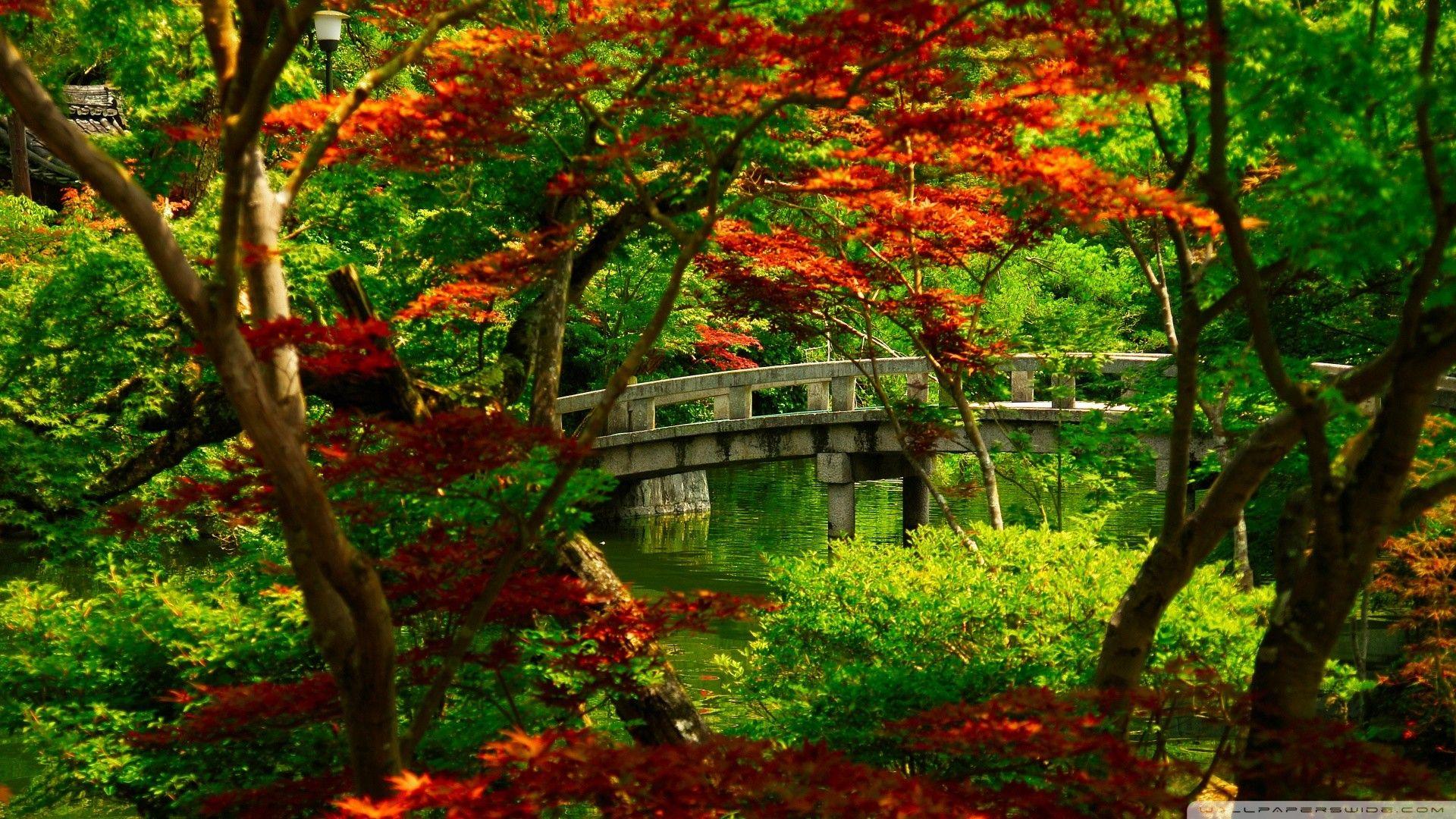 1920x1080 Japanese Garden Wallpaper. Japanese garden, Autumn landscape, Kyoto garden