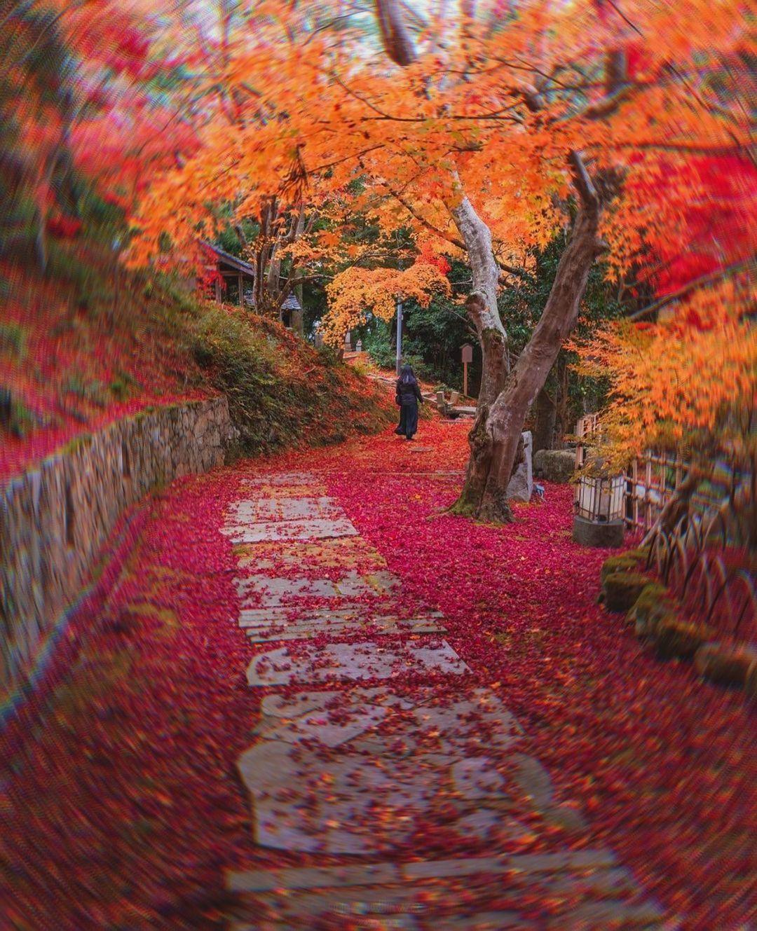 1080x1329 Kyoto, Japan Wallpaper. Cool landscapes, Wallpaper, Photo