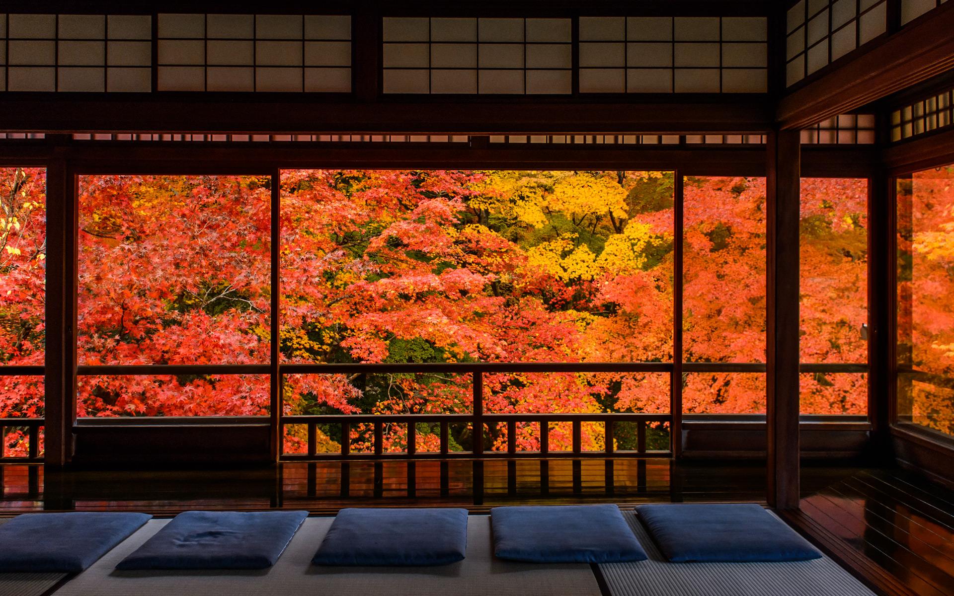 1920x1200 Jeffrey Friedl's Blog Photographer Introspection Amidst the Serenity at Kyoto's Rurikoin Temple