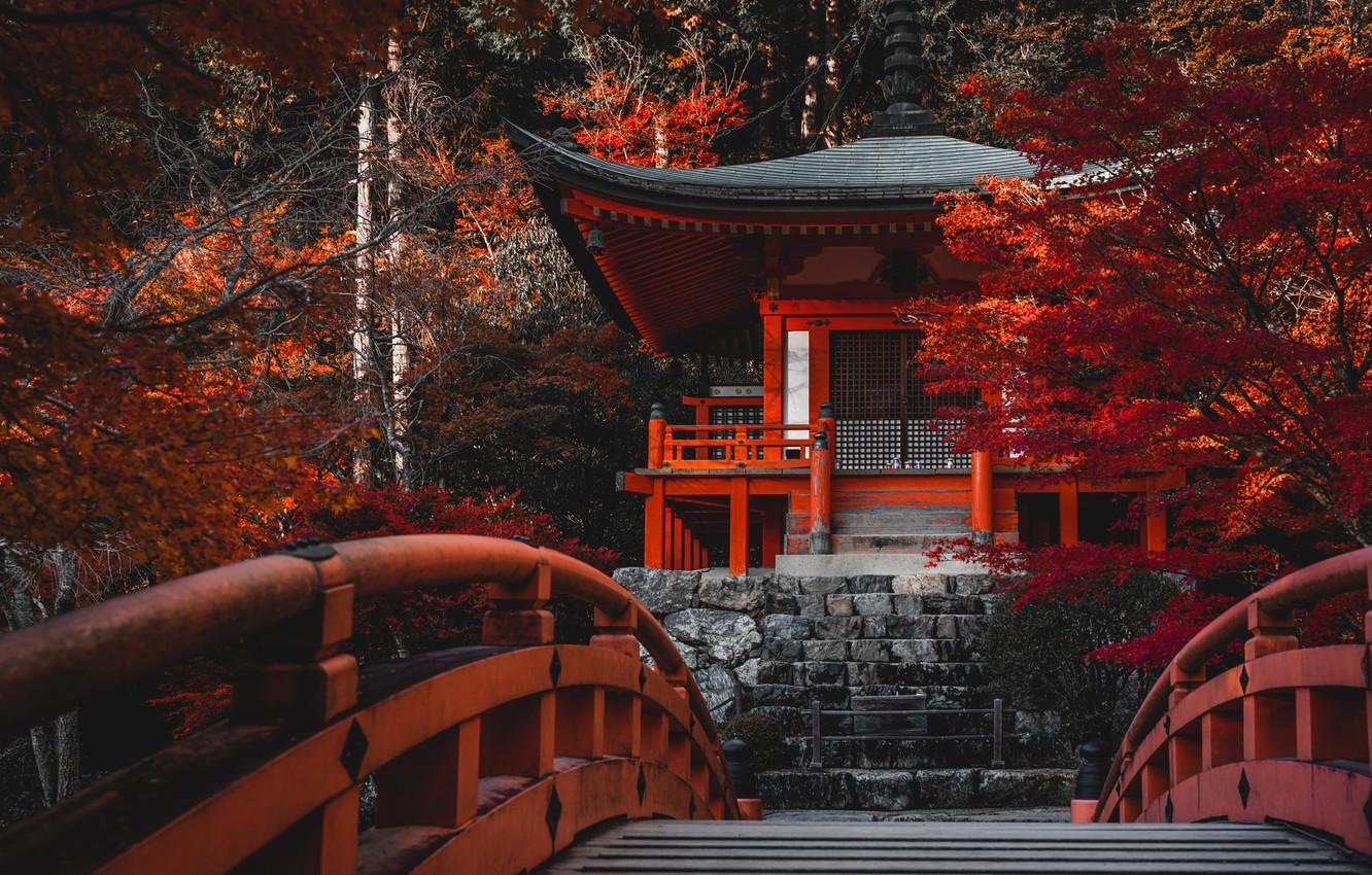 1332x850 Wallpaper Autumn, Trees, Bridge, Japan, Temple, Japan, Kyoto, Kyoto, Bentendo Hall, The Temple Daigo JI Temple, Daigo Ji Temple, Bentendo Hall Image For Desktop, Section пейзажи