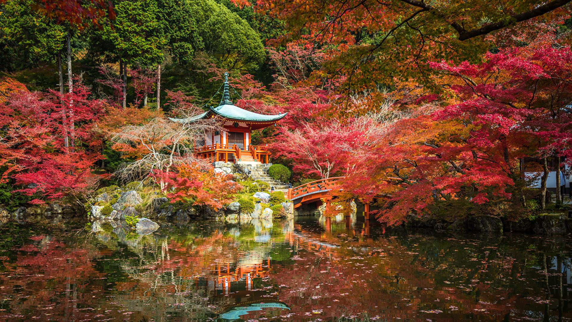 1920x1080 Photos Kyoto Japan Autumn Nature park Pond Pagodas Trees 1920x1080