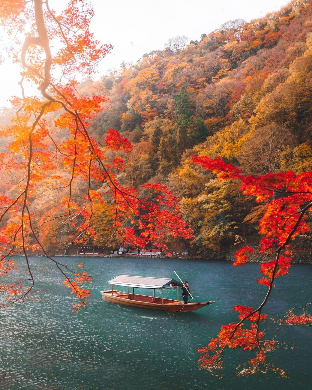 1040x1300 Japan is beautiful in the fall. Japan honeymoon, Japan holidays, Japan travel