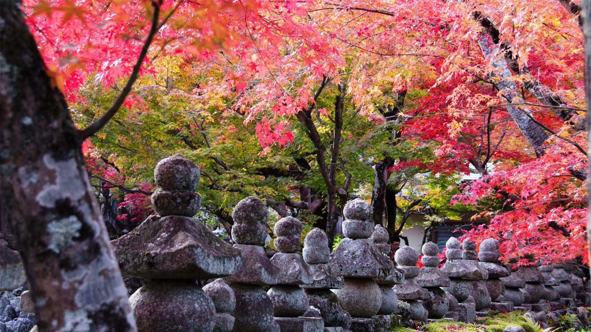 1920x1080 Kyoto Wallpaper