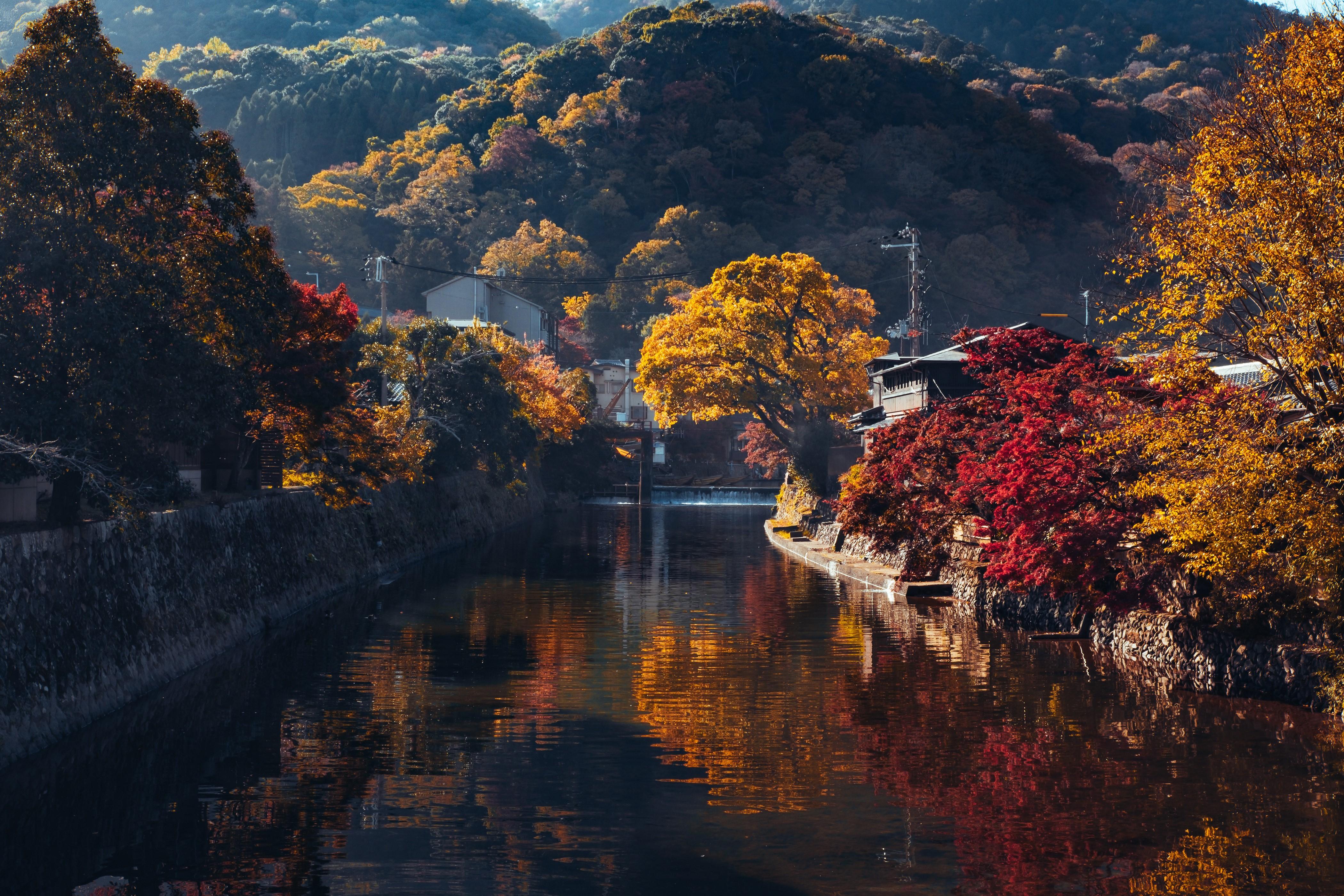 4200x2800 4K, Arashiyama, Japan, Kyoto, Autumn, Mountains, Canal, Trees. Mocah HD Wallpaper