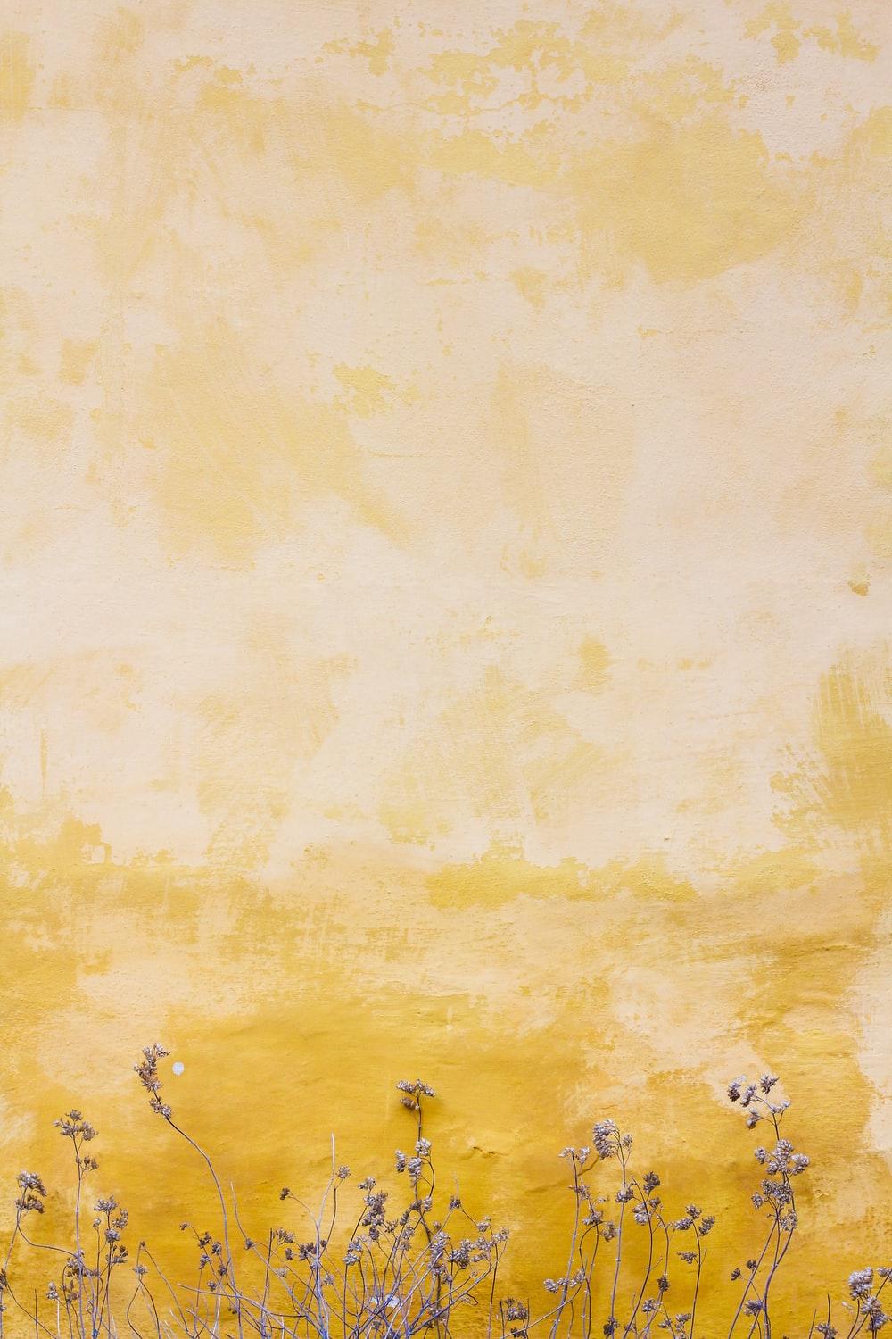 1000x1500 Watercolor Picture. Download Free Image