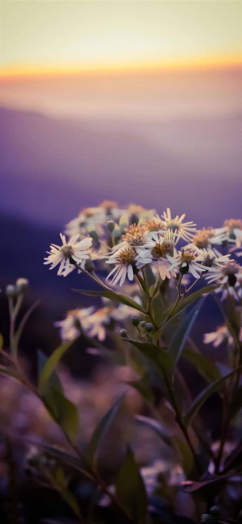 Asheville Wallpapers - Top Free Asheville Backgrounds - WallpaperAccess